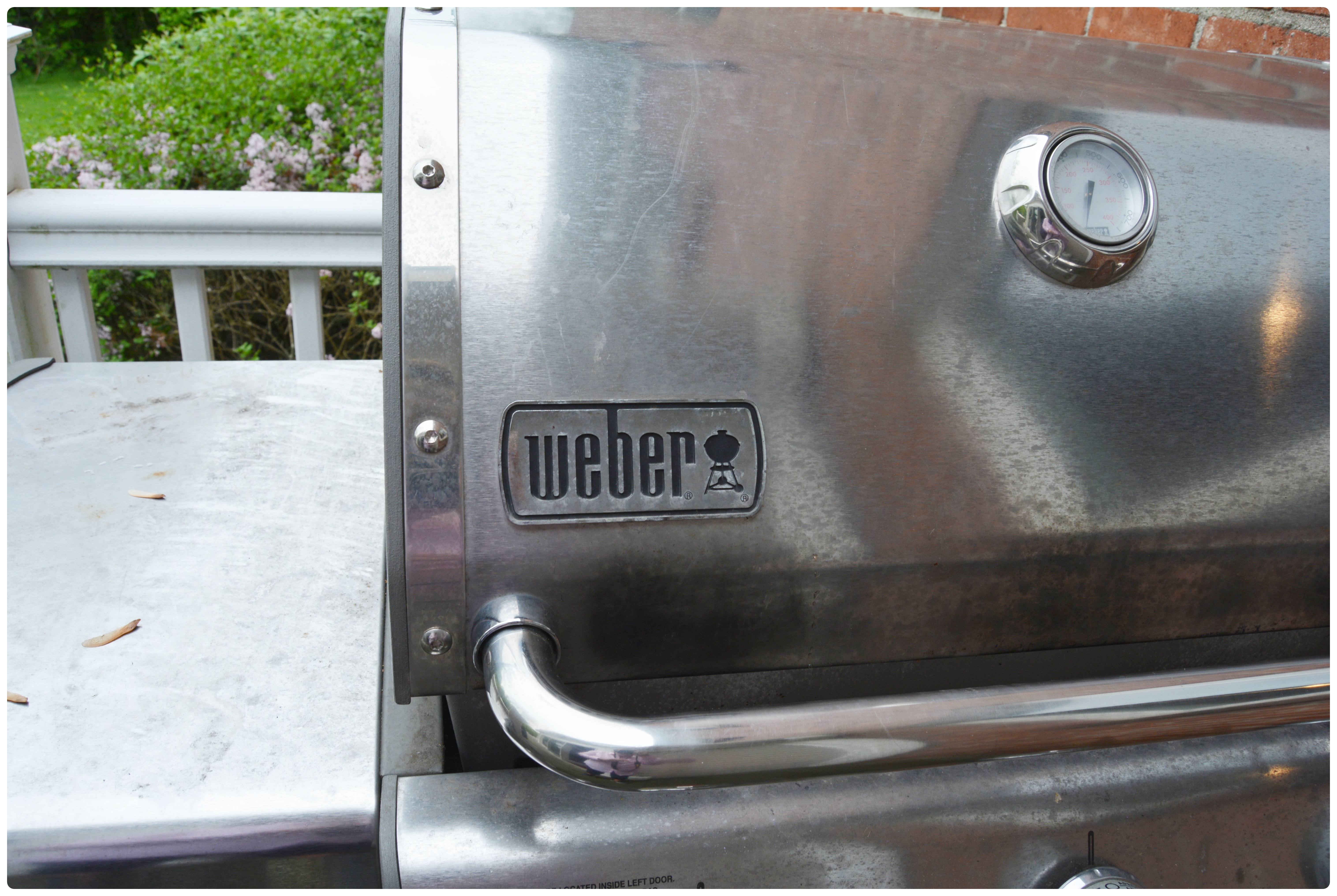 Weber Outdoor Gas Grill