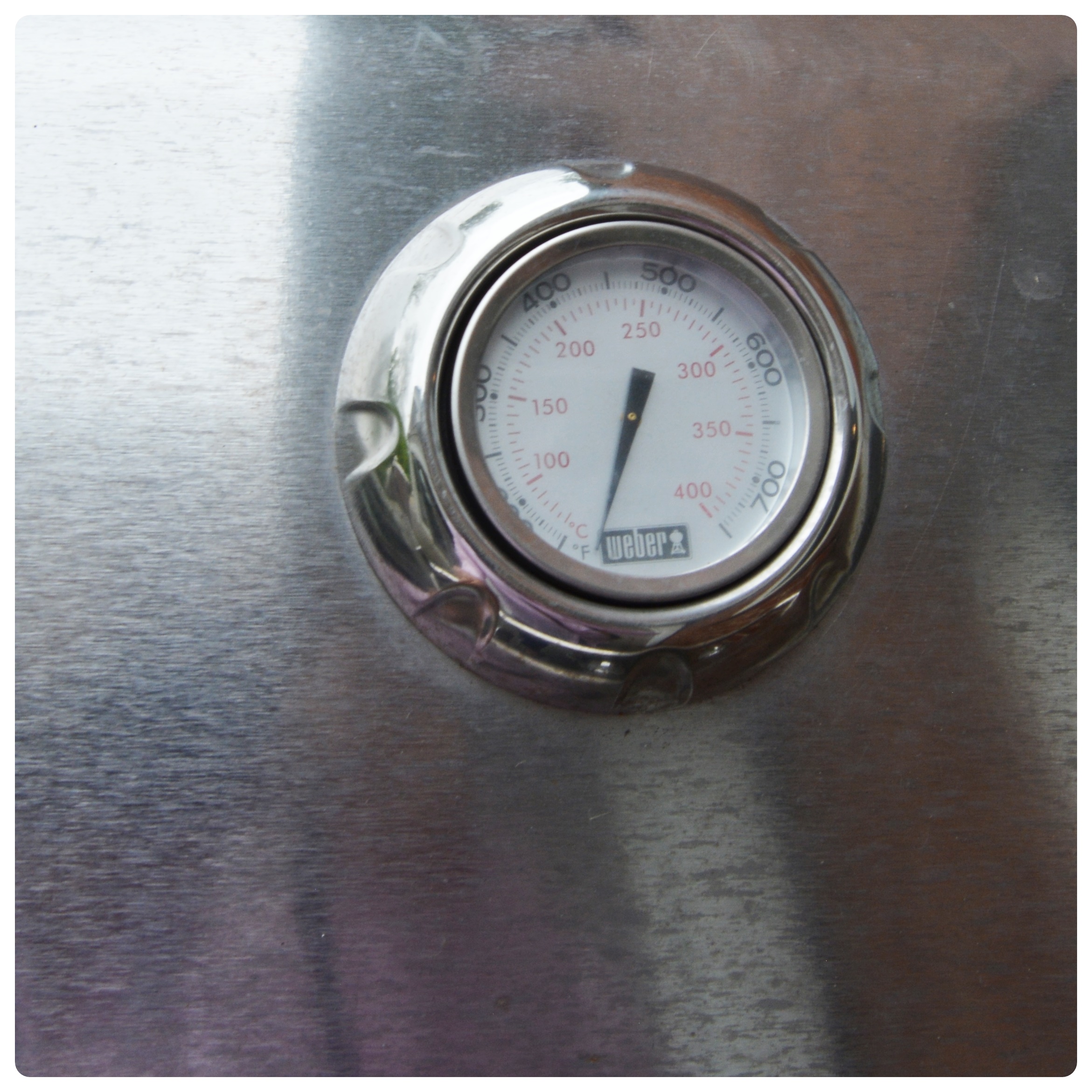 Weber Outdoor Gas Grill