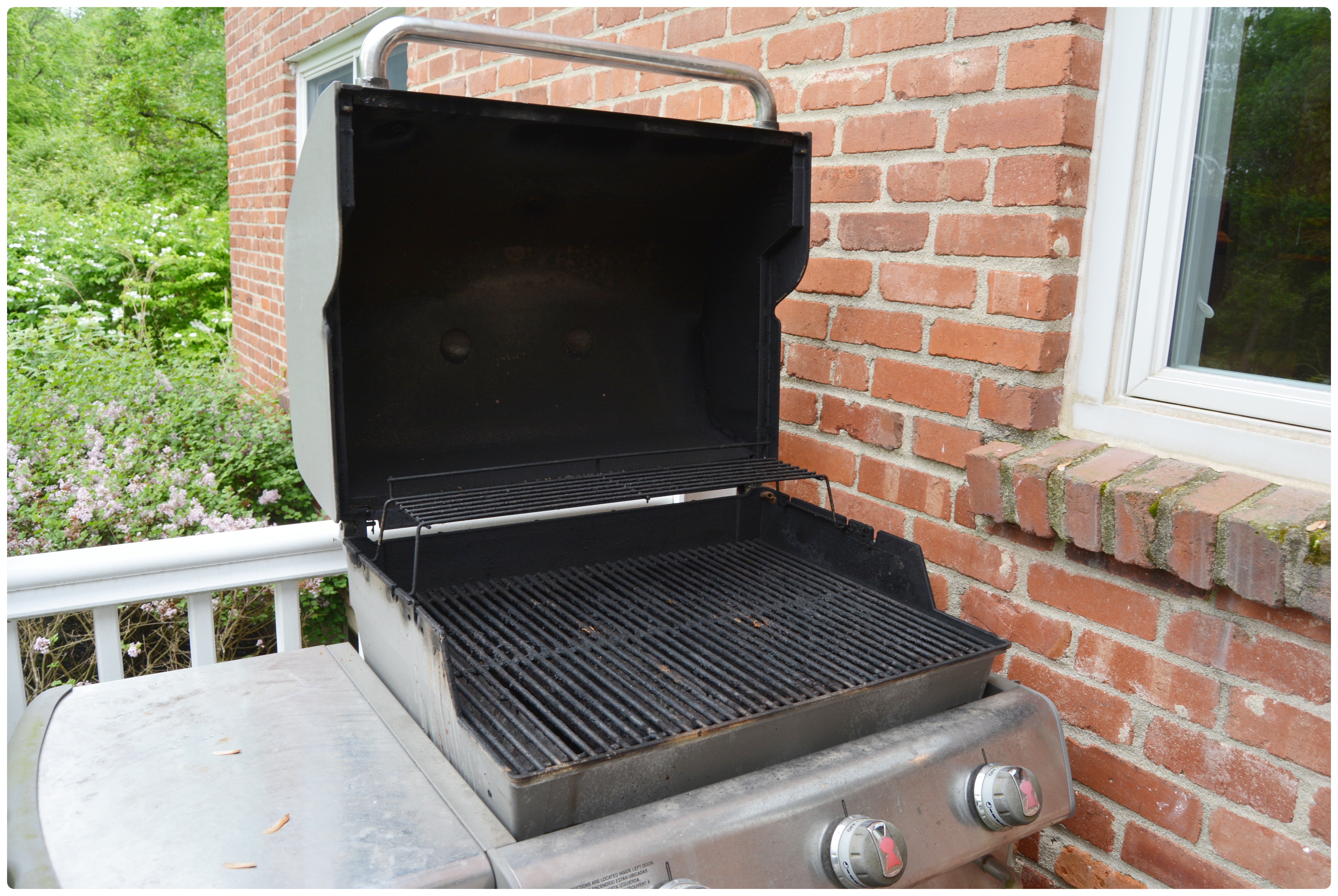 Weber Outdoor Gas Grill