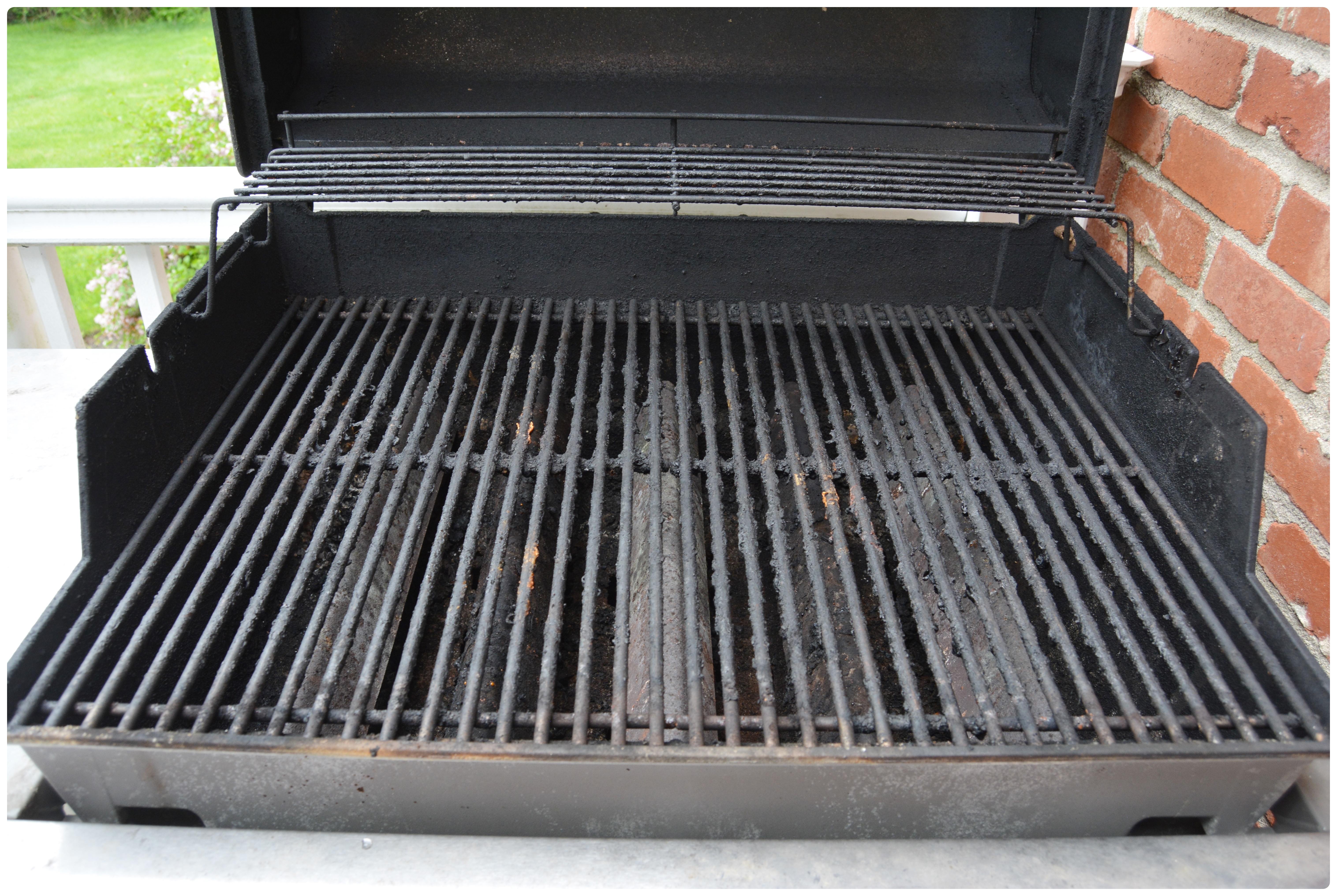 Weber Outdoor Gas Grill