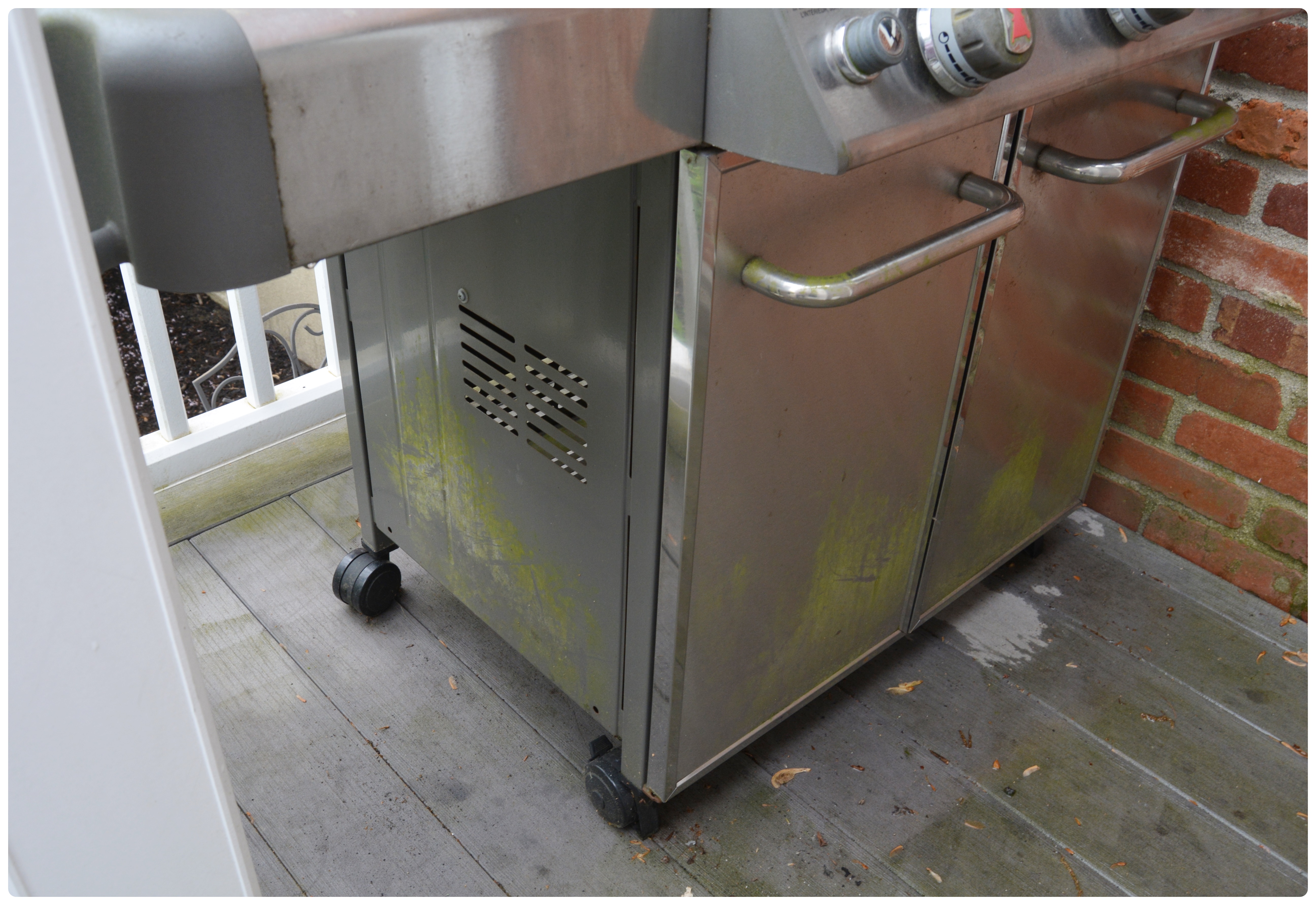 Weber Outdoor Gas Grill