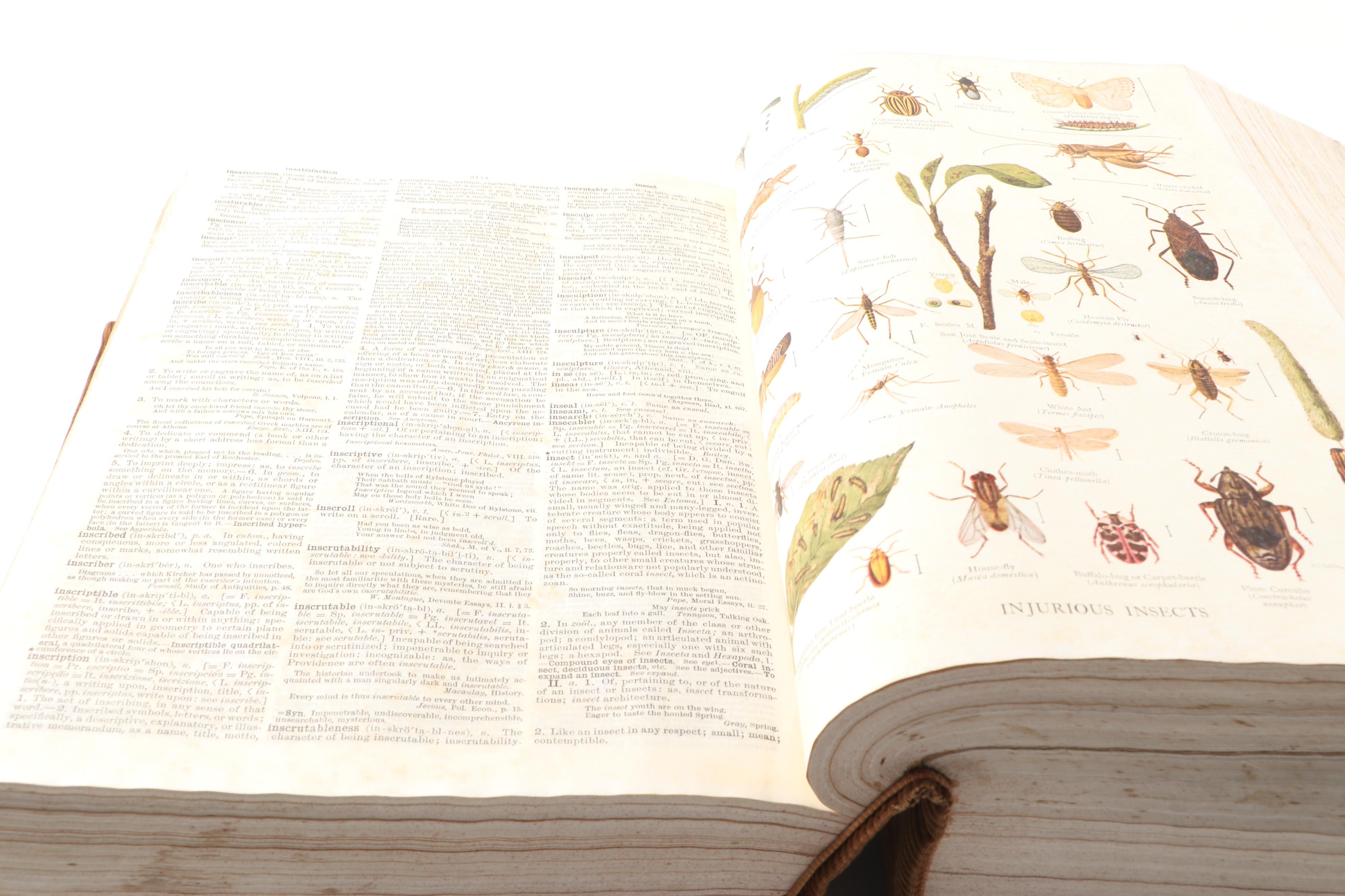 1914 "The Century Dictionary: An Encyclopedic Lexicon of the English Language"