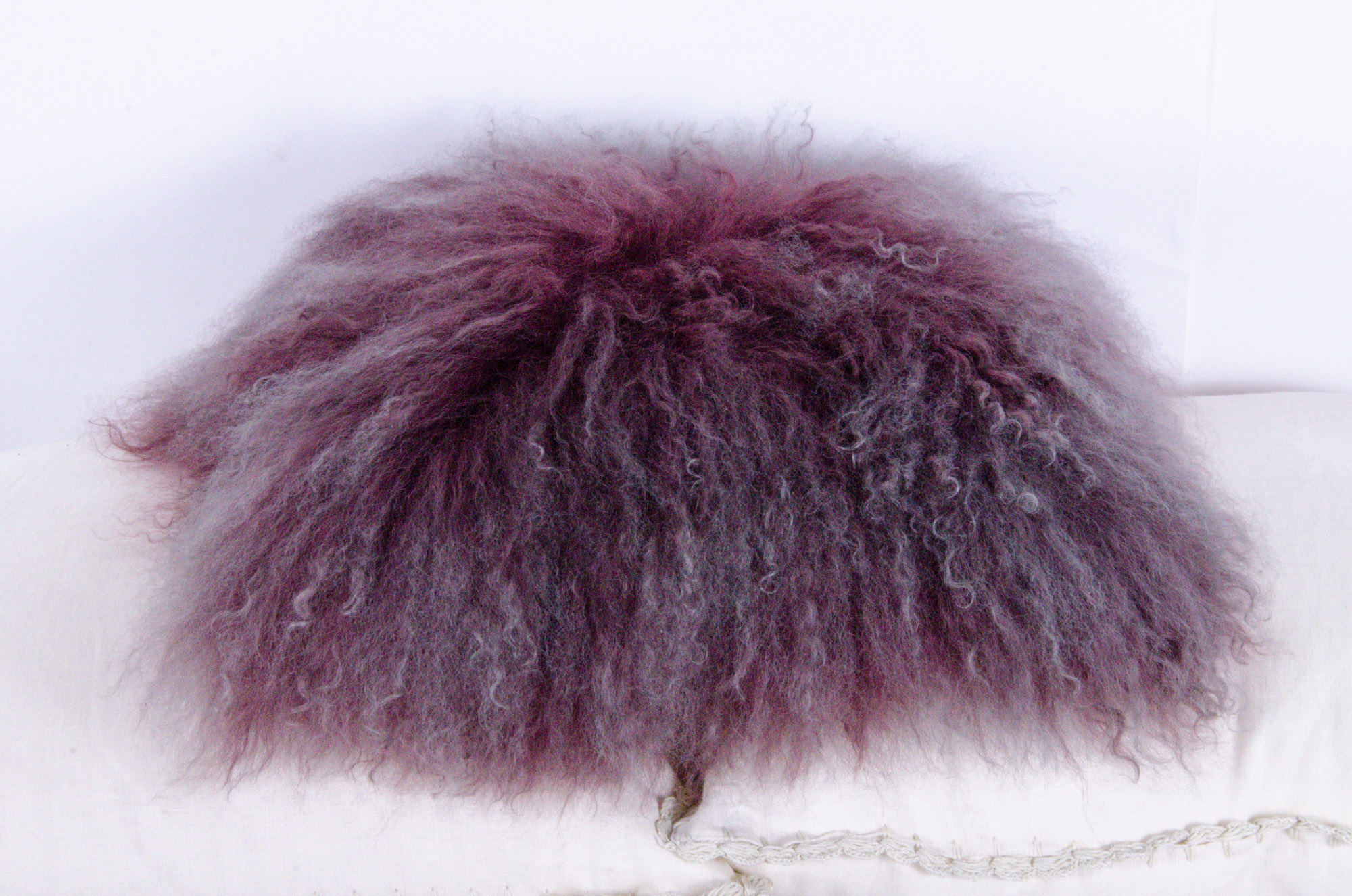 Decorative Fabric Accent Pillows and Throw Blanket