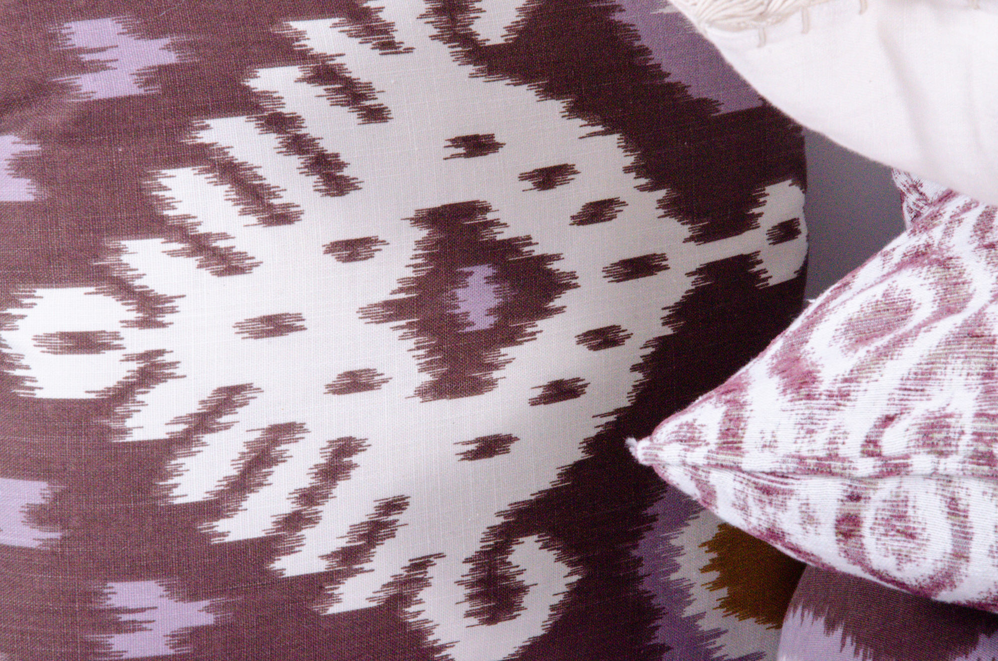 Decorative Fabric Accent Pillows and Throw Blanket