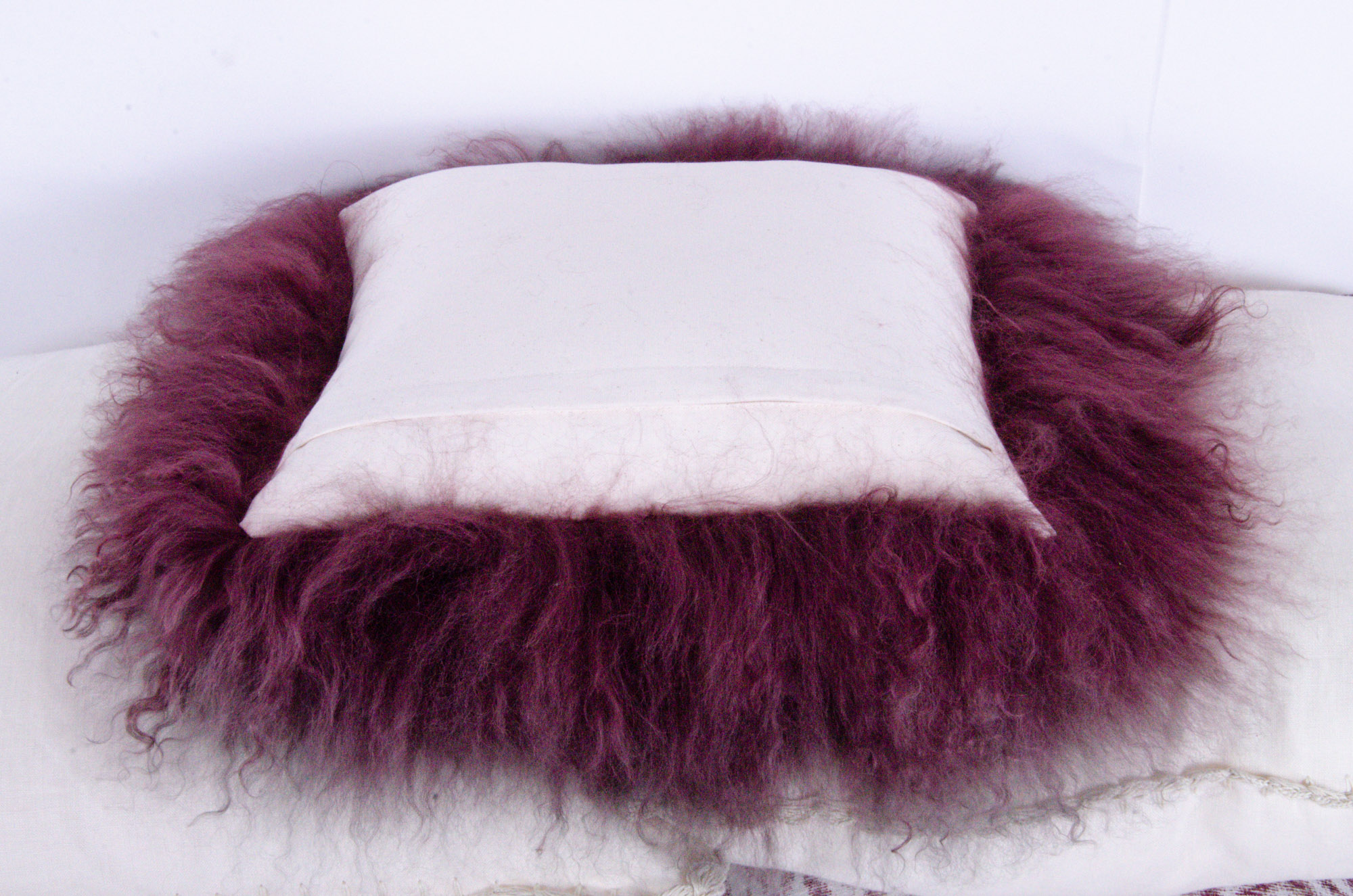 Decorative Fabric Accent Pillows and Throw Blanket