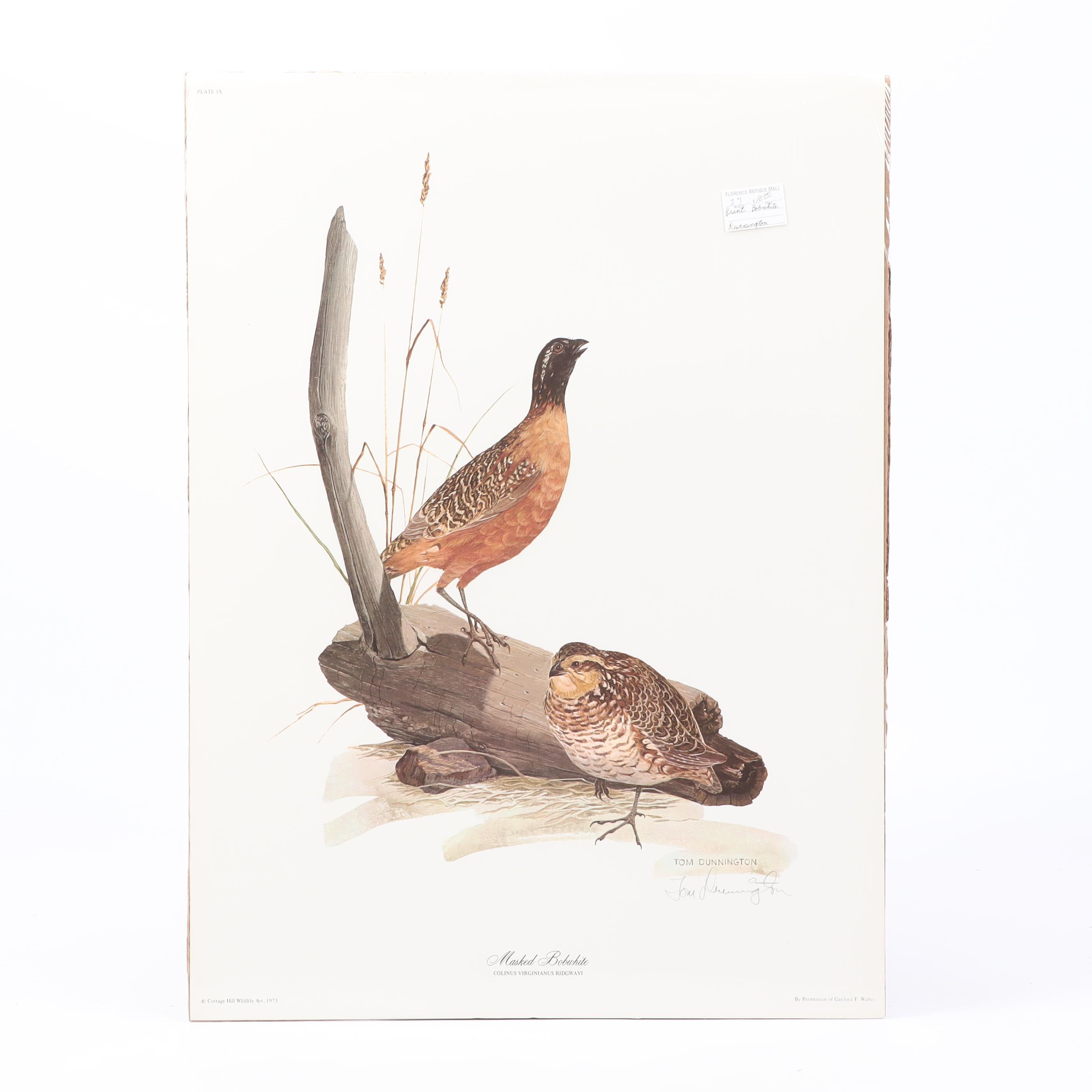 Tom Dunnington Offset Lithographs "Masked Bobwhite" and "Golden Eagle"
