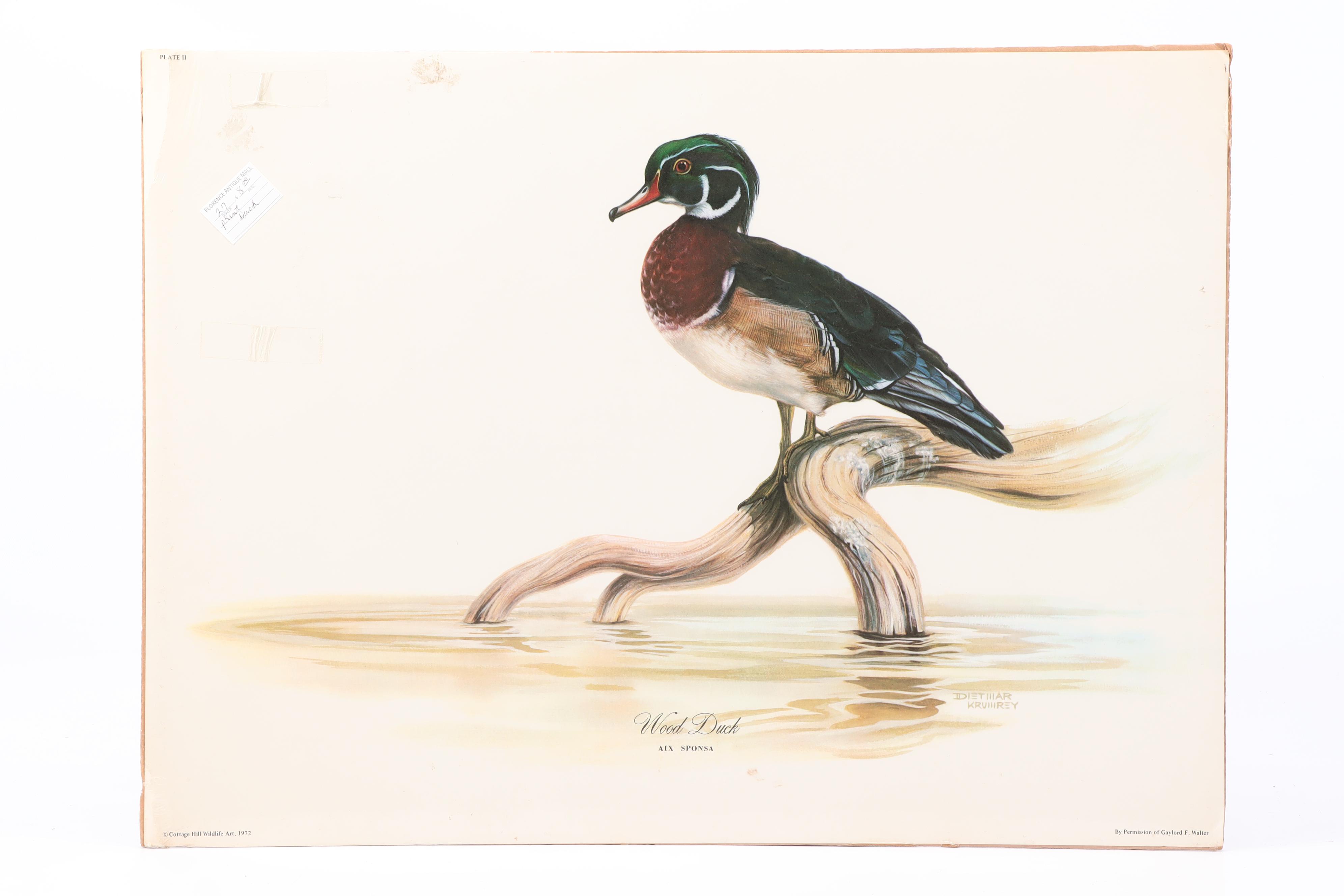 Tom Dunnington Offset Lithographs "Masked Bobwhite" and "Golden Eagle"