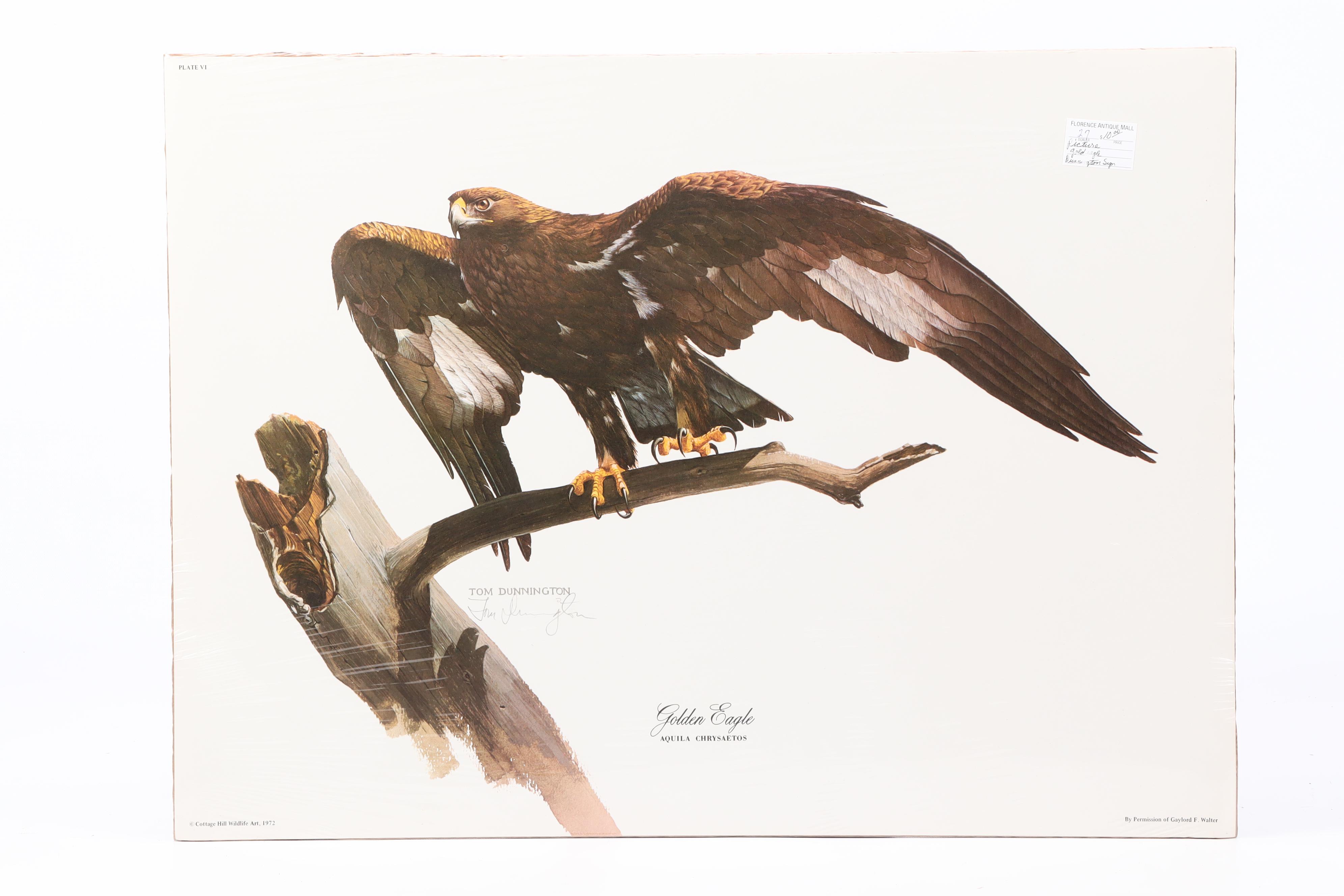 Tom Dunnington Offset Lithographs "Masked Bobwhite" and "Golden Eagle"