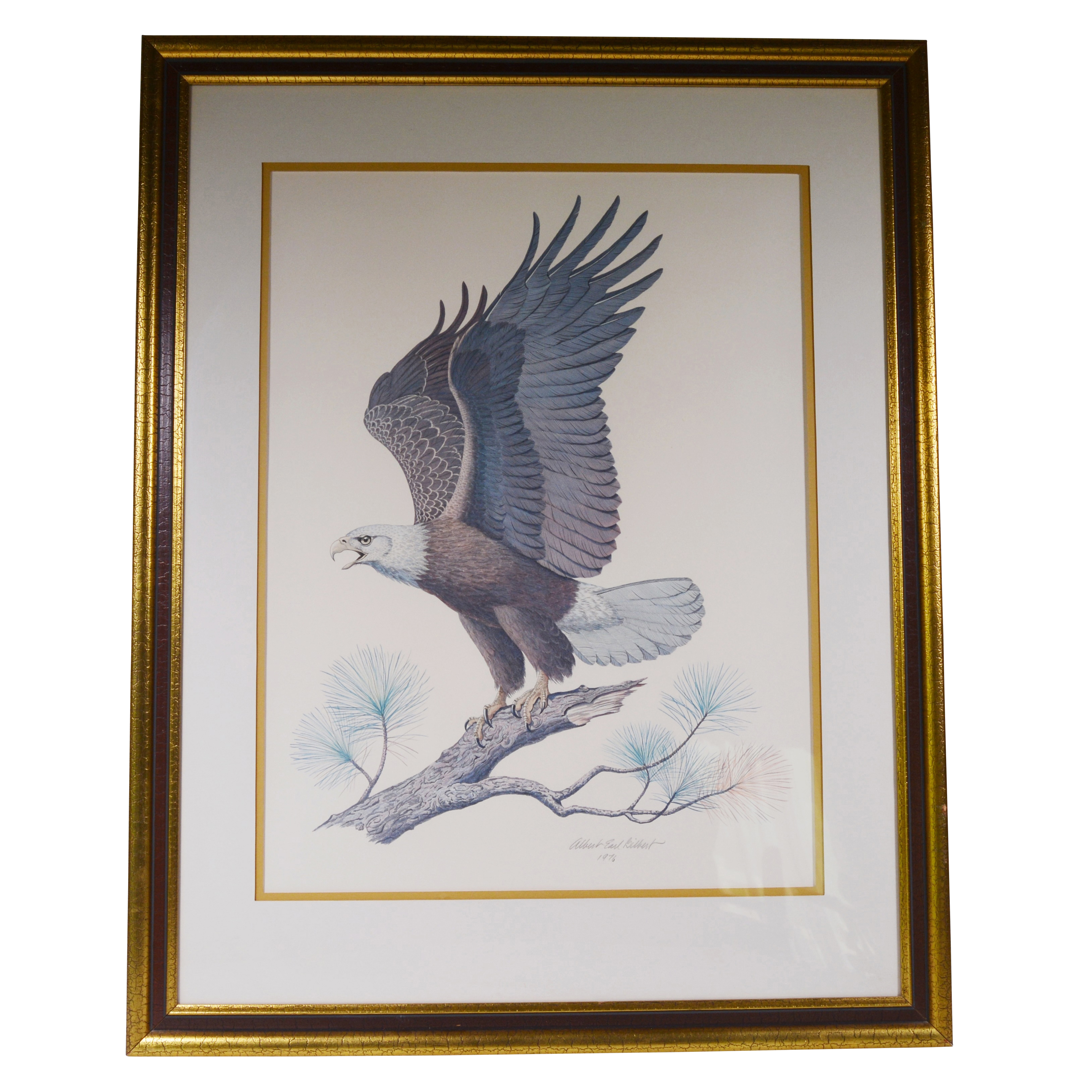 Albert Earl Gilbert Lithograph "The American Bald Eagle"