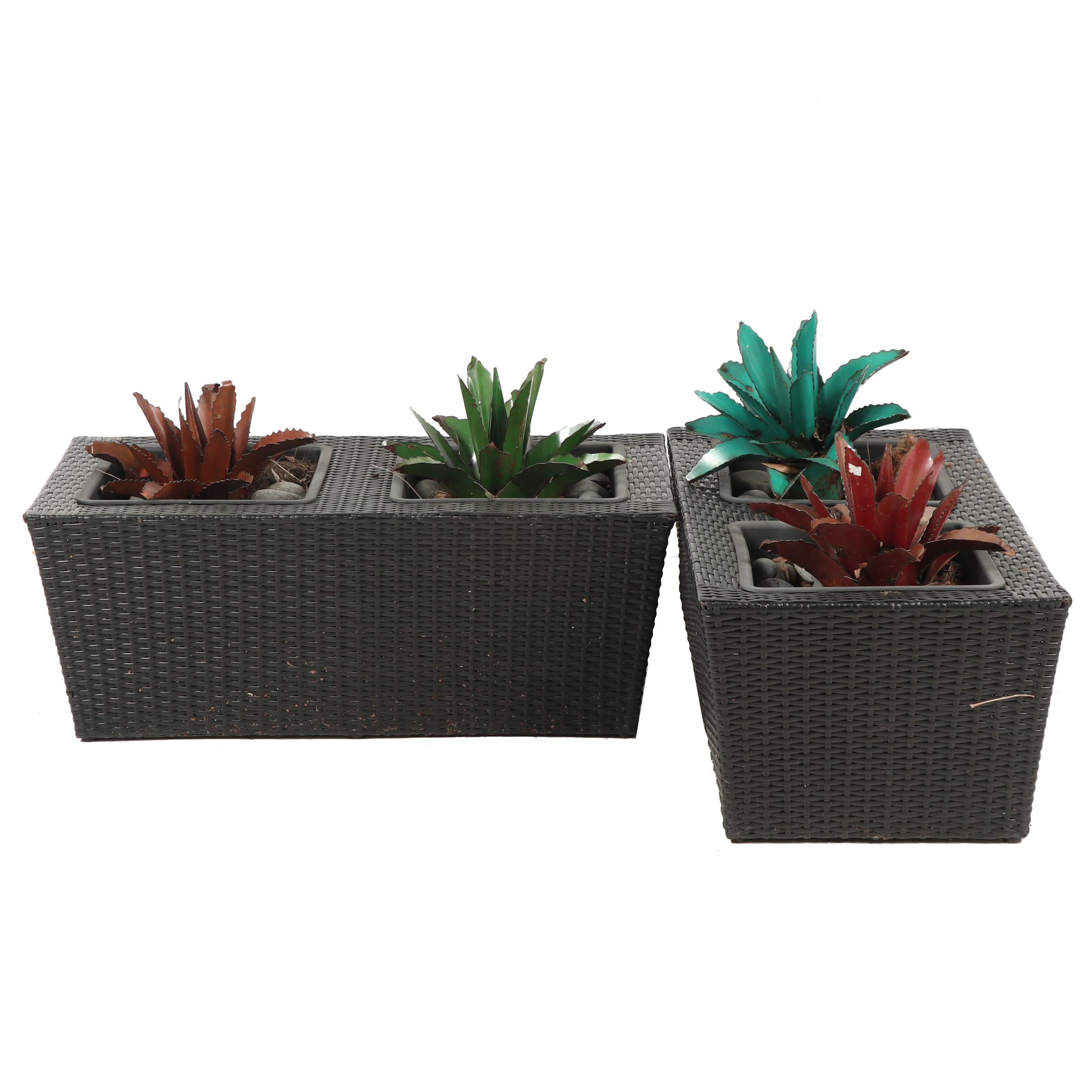 Contemporary Metal Agave Plants with Woven Planters