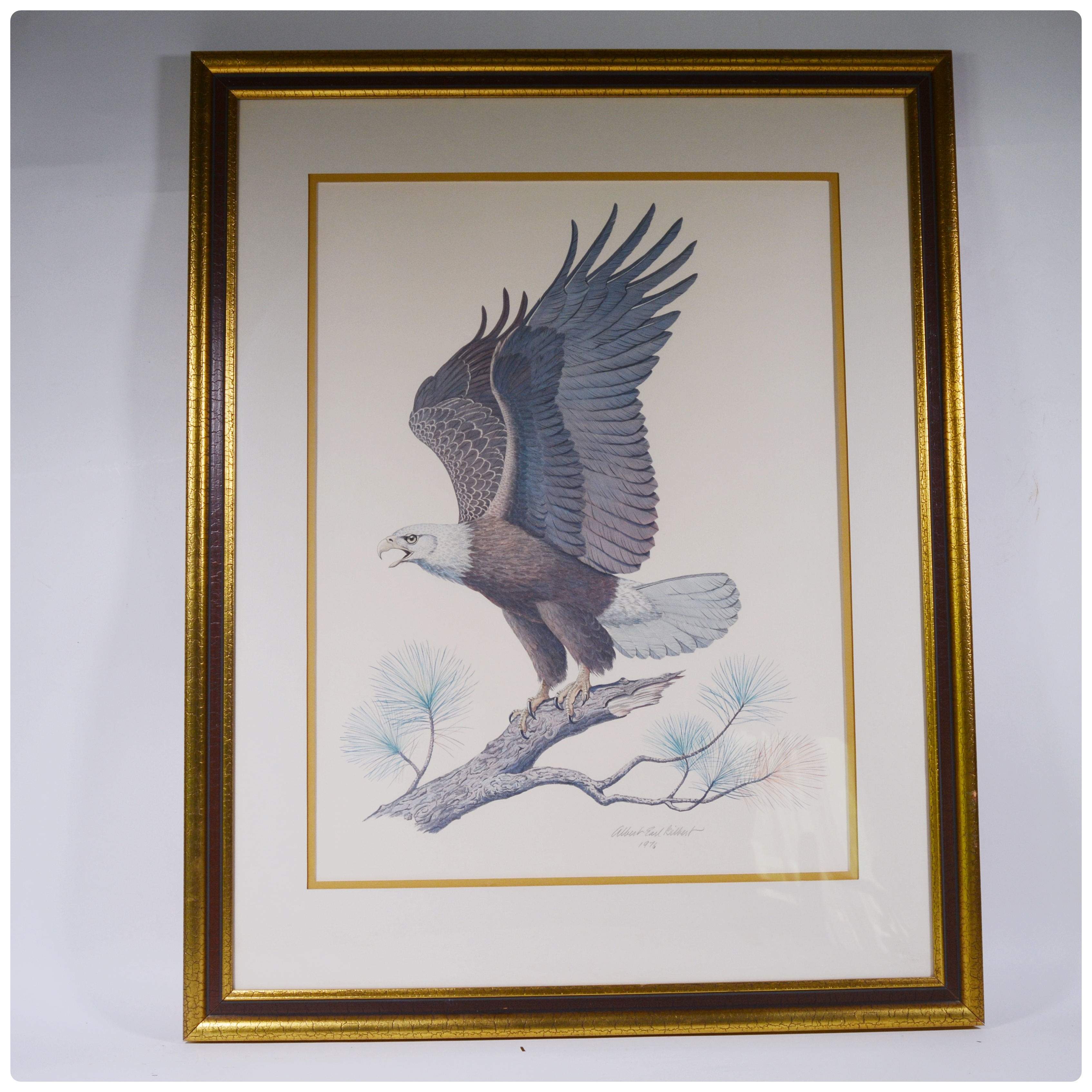 Albert Earl Gilbert Lithograph "The American Bald Eagle"