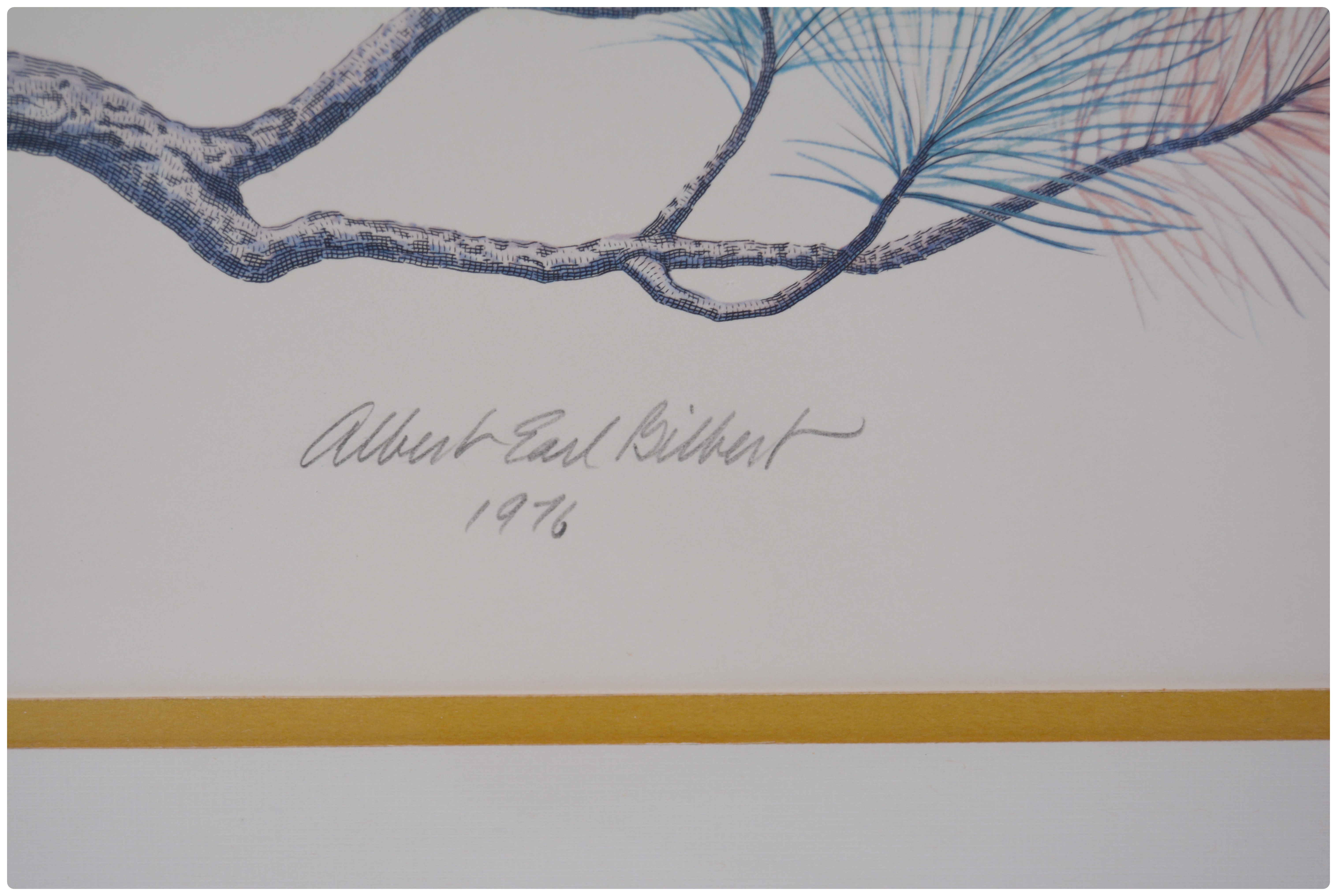 Albert Earl Gilbert Lithograph "The American Bald Eagle"