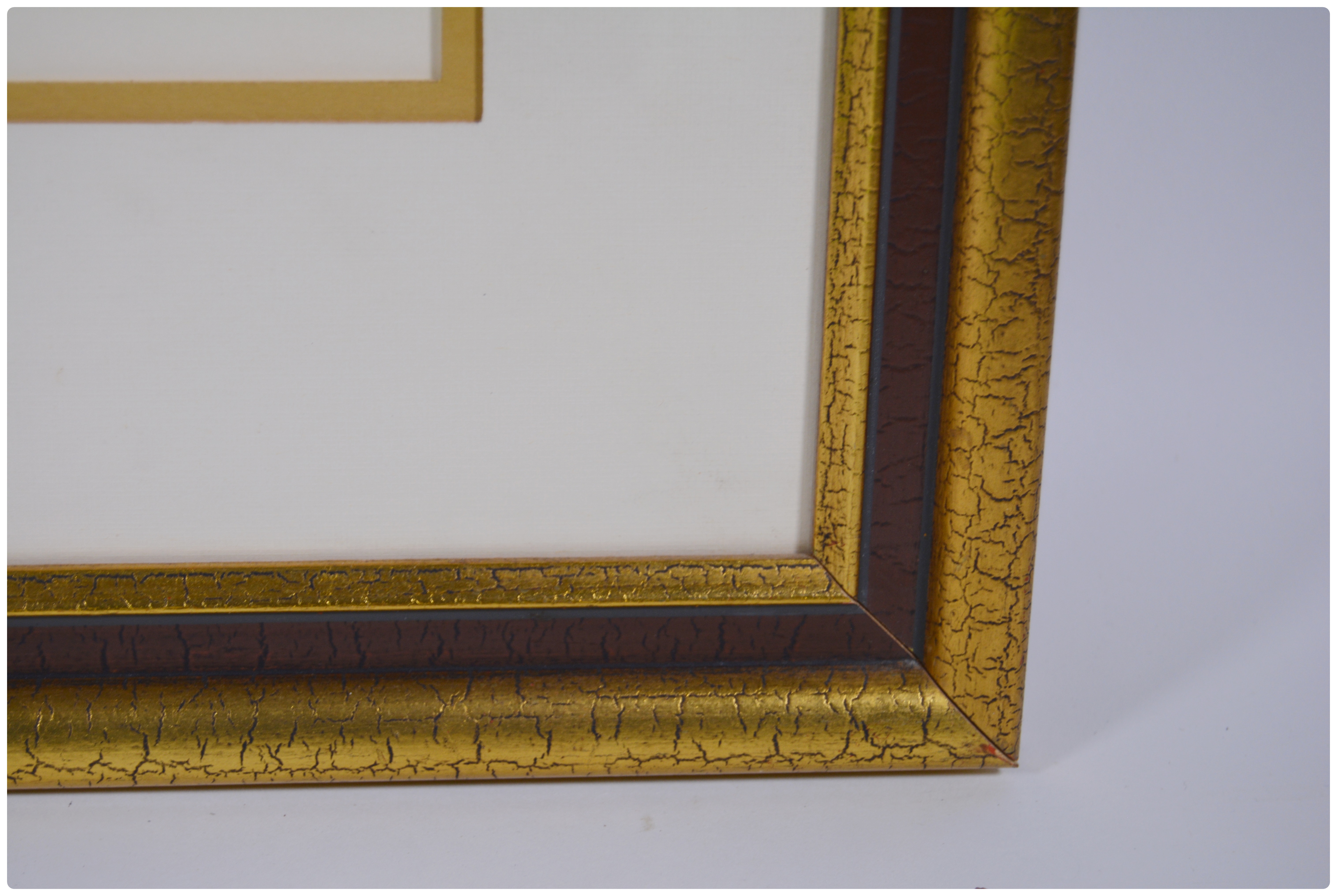 Albert Earl Gilbert Lithograph "The American Bald Eagle"