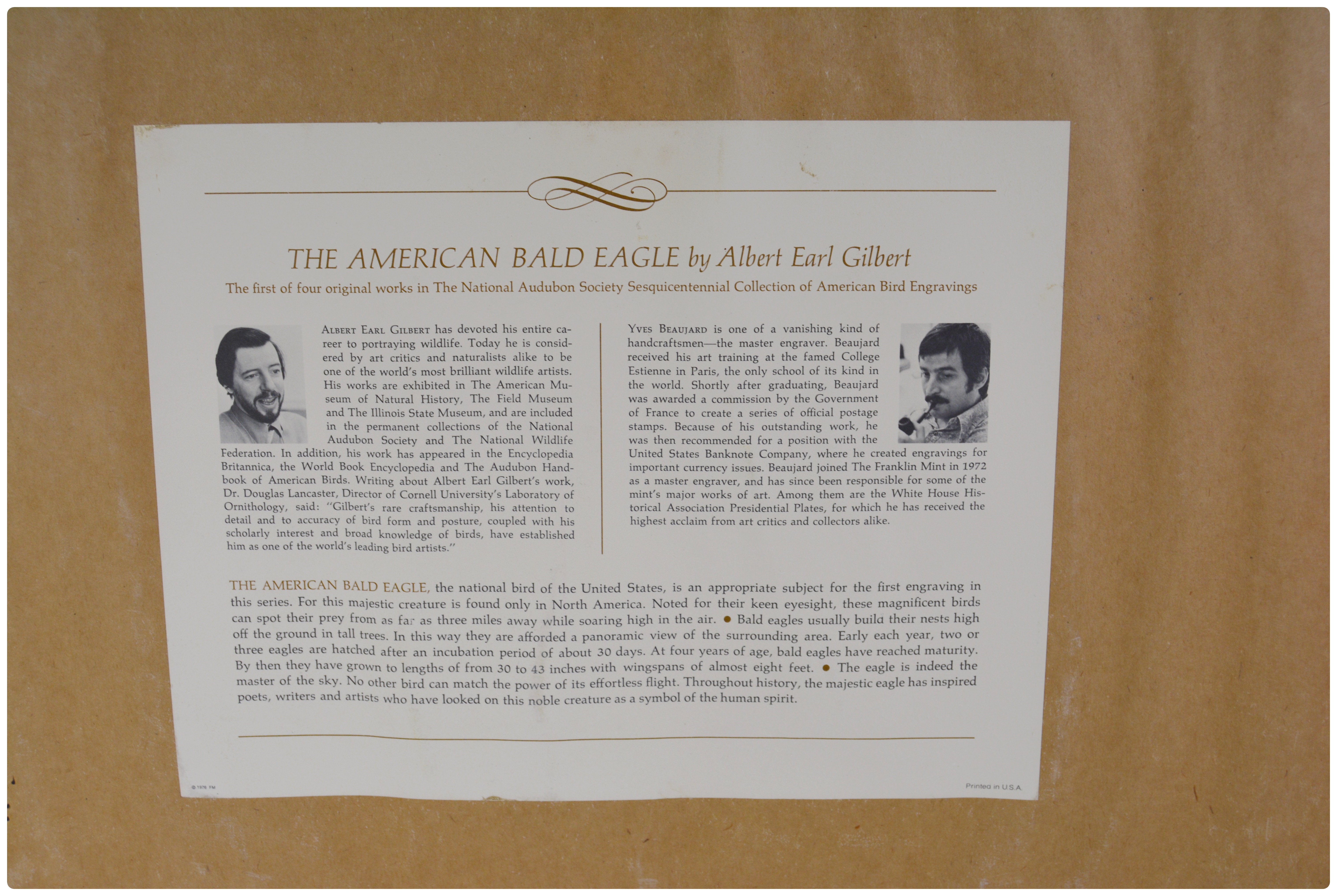 Albert Earl Gilbert Lithograph "The American Bald Eagle"