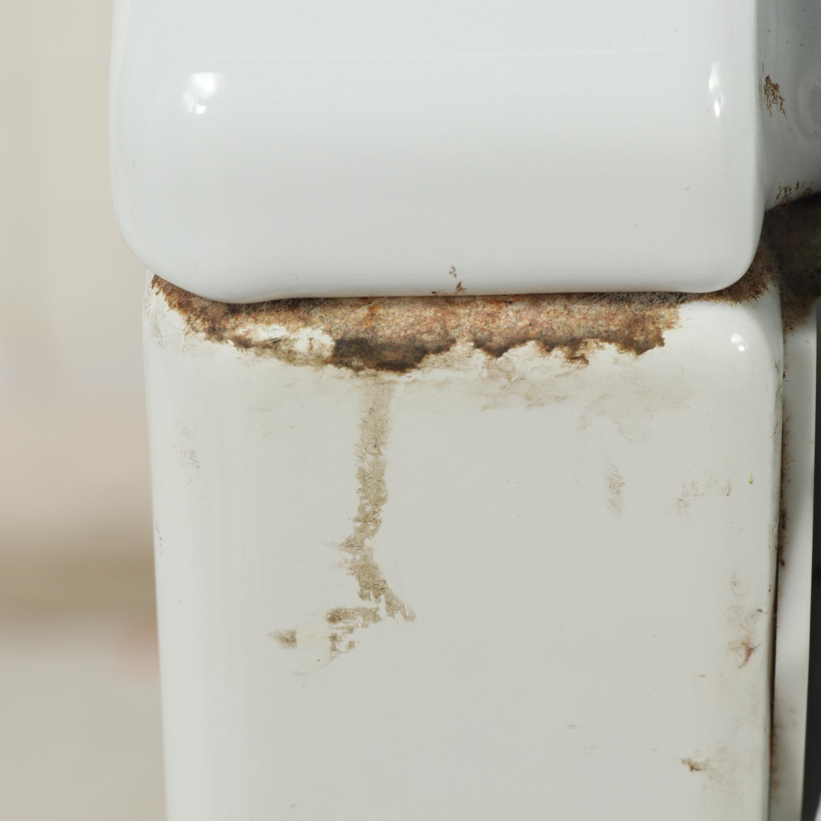 Maytag Neptune Dryer