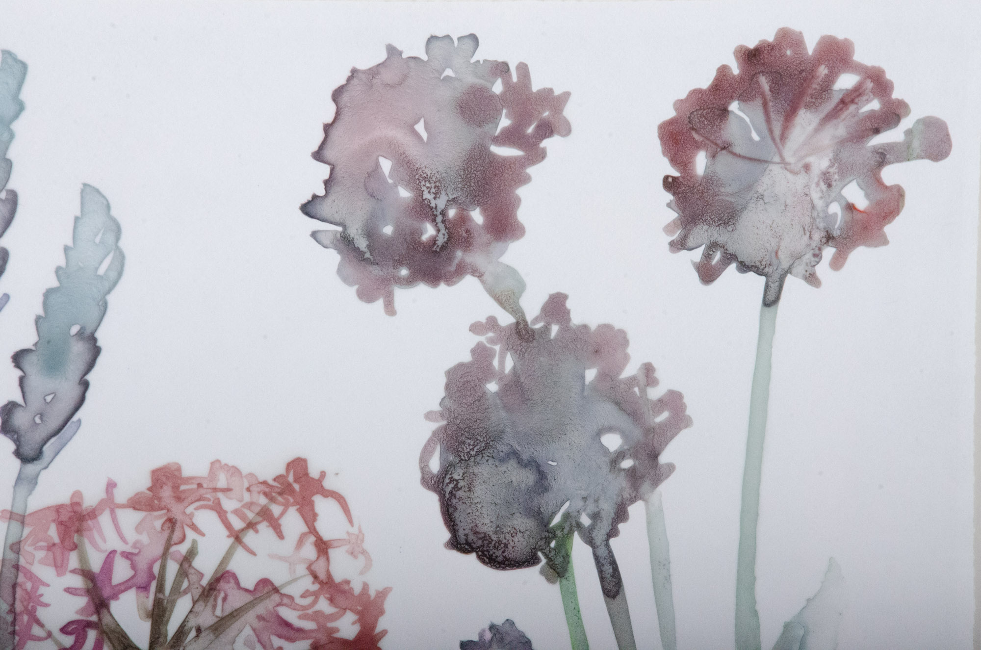 Modern Giclées "Gracious Garden 3" and "Gracious Garden 4"