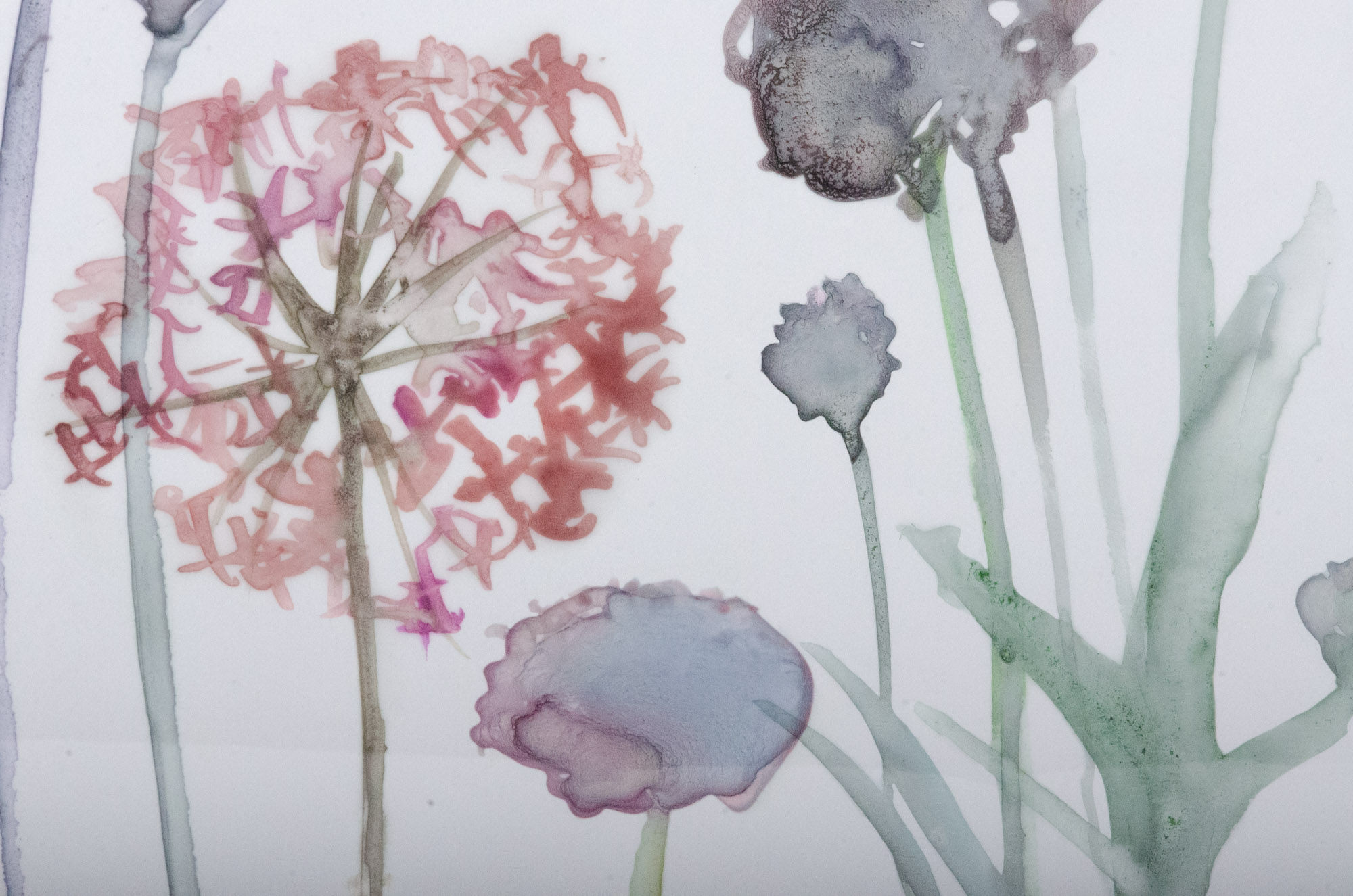 Modern Giclées "Gracious Garden 3" and "Gracious Garden 4"