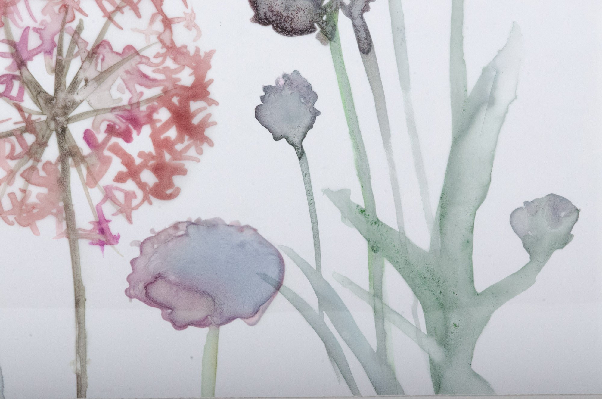 Modern Giclées "Gracious Garden 3" and "Gracious Garden 4"