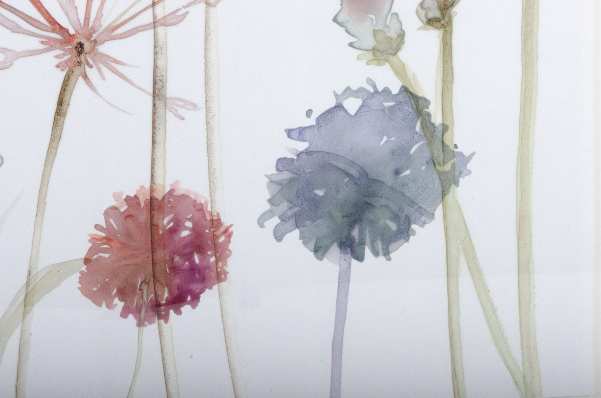 Modern Giclées "Gracious Garden 3" and "Gracious Garden 4"