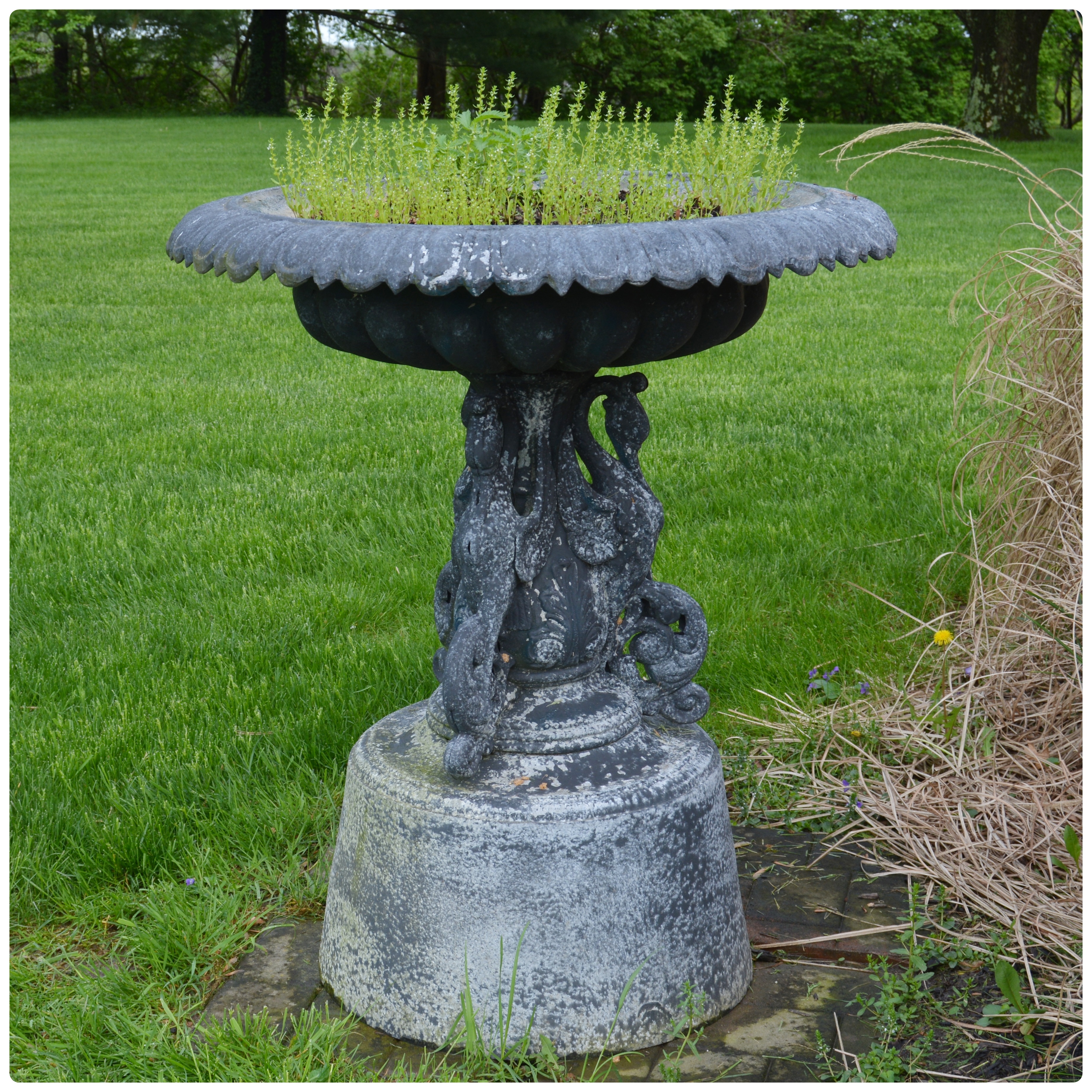 Outdoor Metal Shallow Bowl Planter