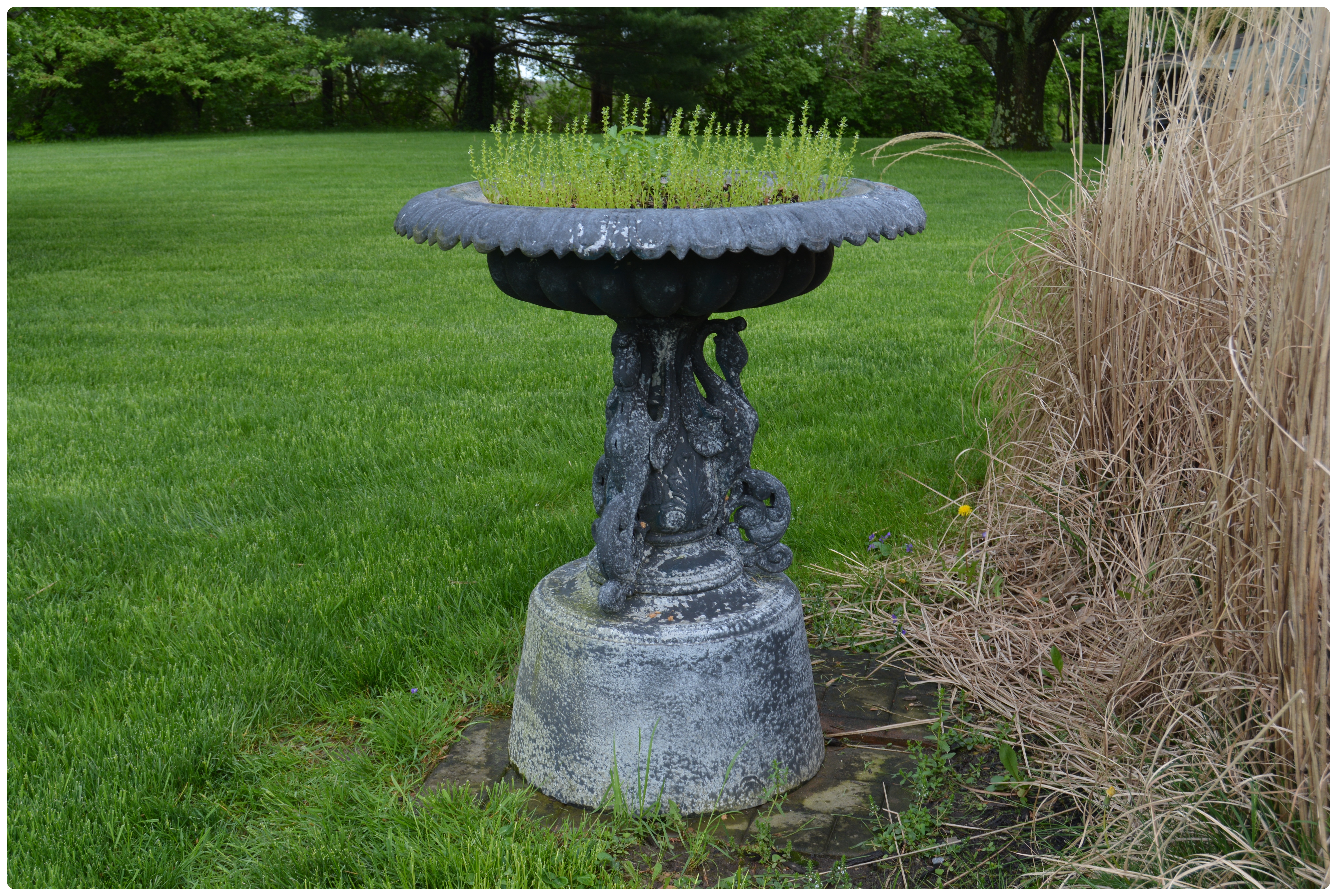 Outdoor Metal Shallow Bowl Planter