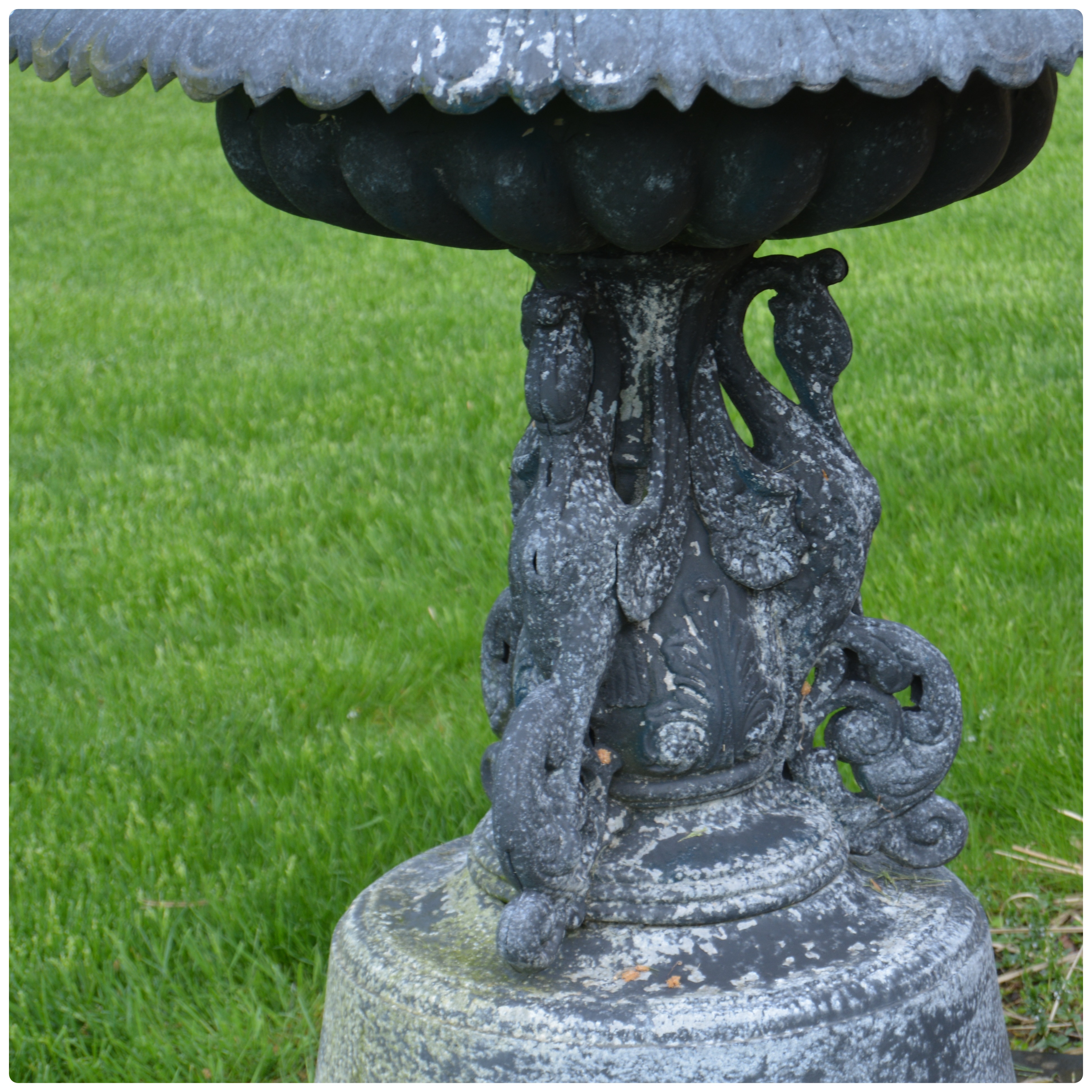 Outdoor Metal Shallow Bowl Planter