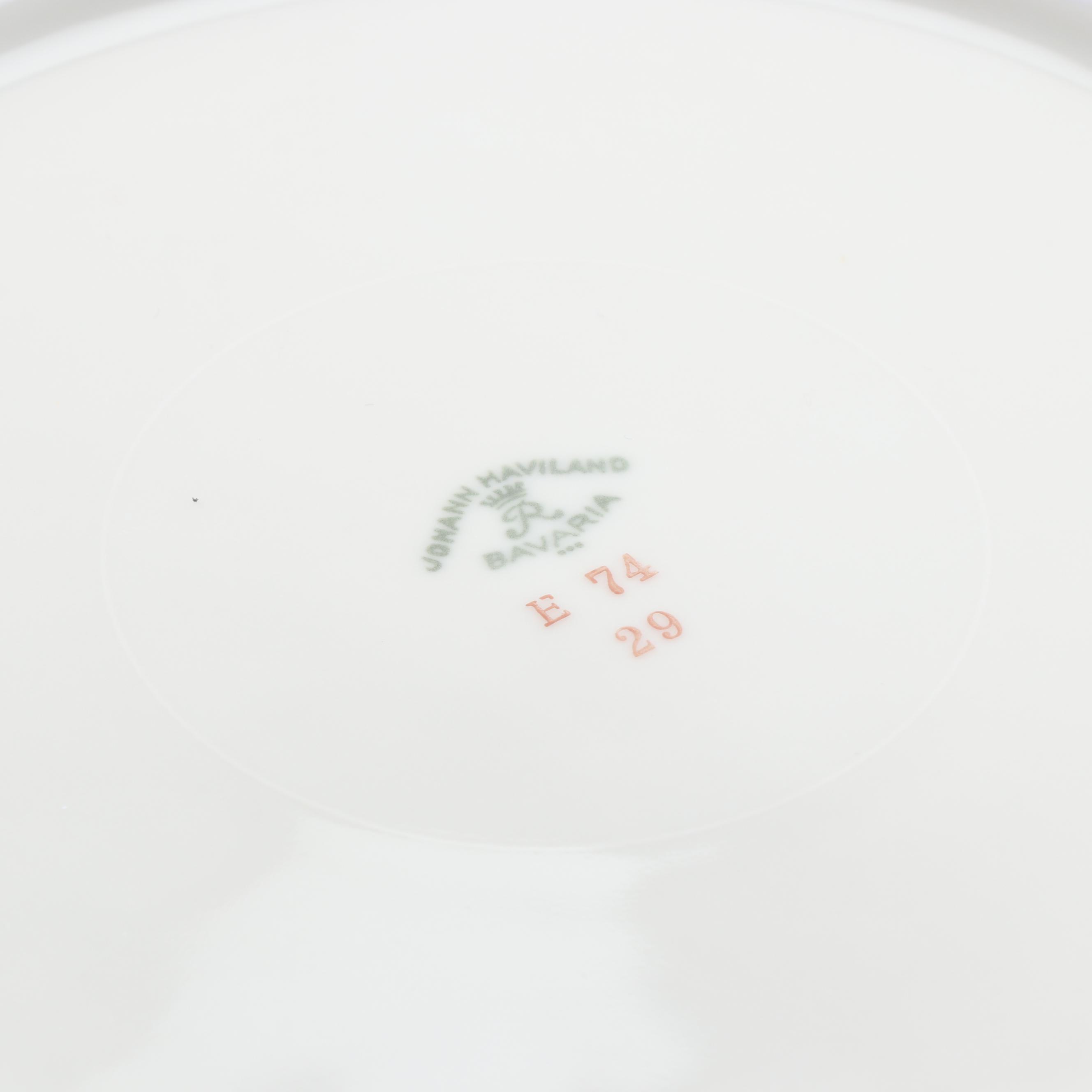 German Floral Porcelain and Ceramic Dinnerware featuring Johann Haviland