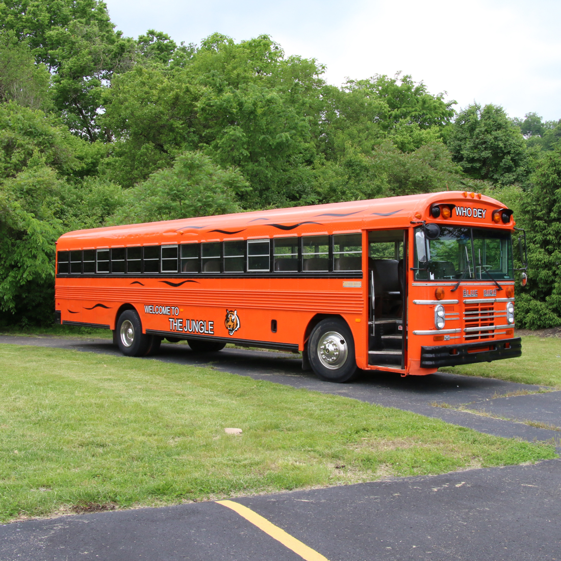 1987 Blue Bird "All American" Bengals Who Dey Bus