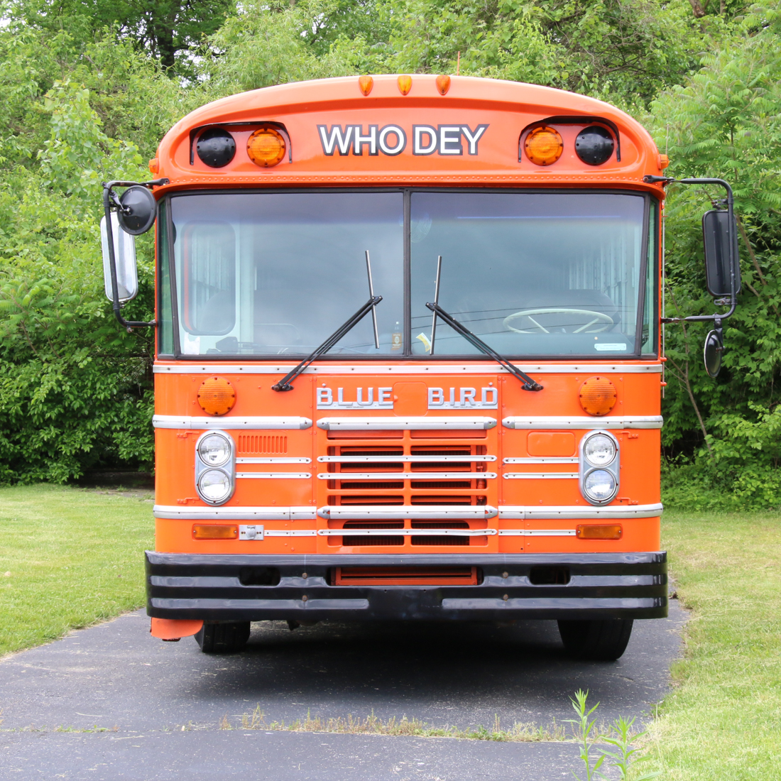 1987 Blue Bird "All American" Bengals Who Dey Bus