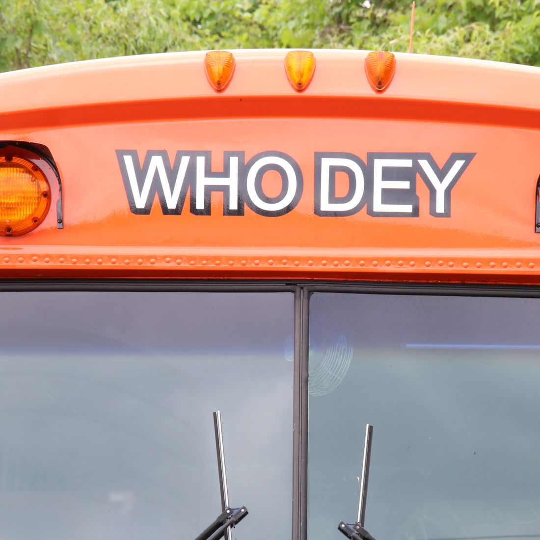 1987 Blue Bird "All American" Bengals Who Dey Bus