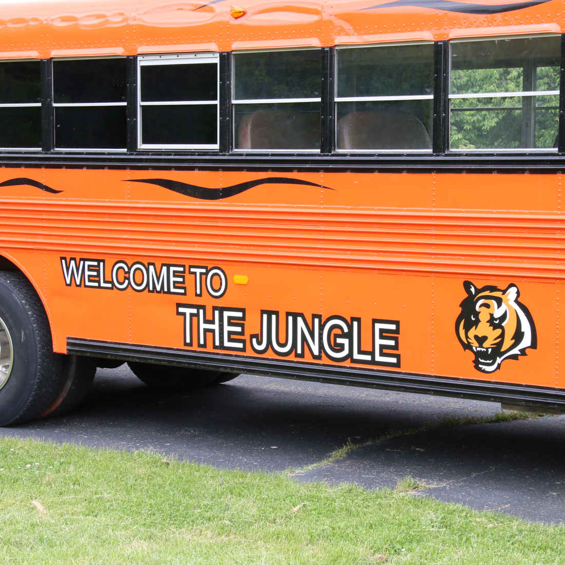 1987 Blue Bird "All American" Bengals Who Dey Bus