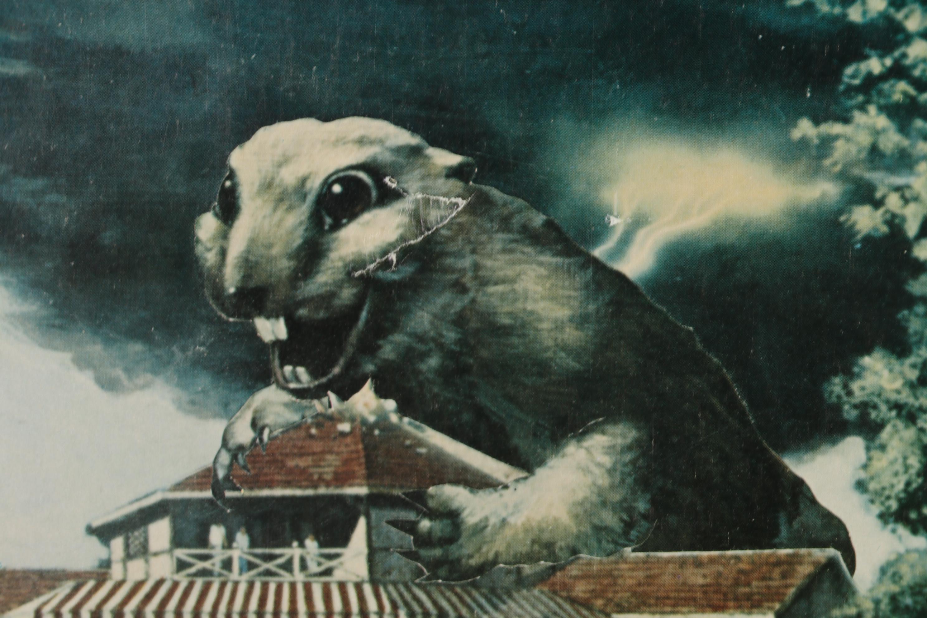 "Caddyshack" Original Lobby Insert Movie Poster, 1980