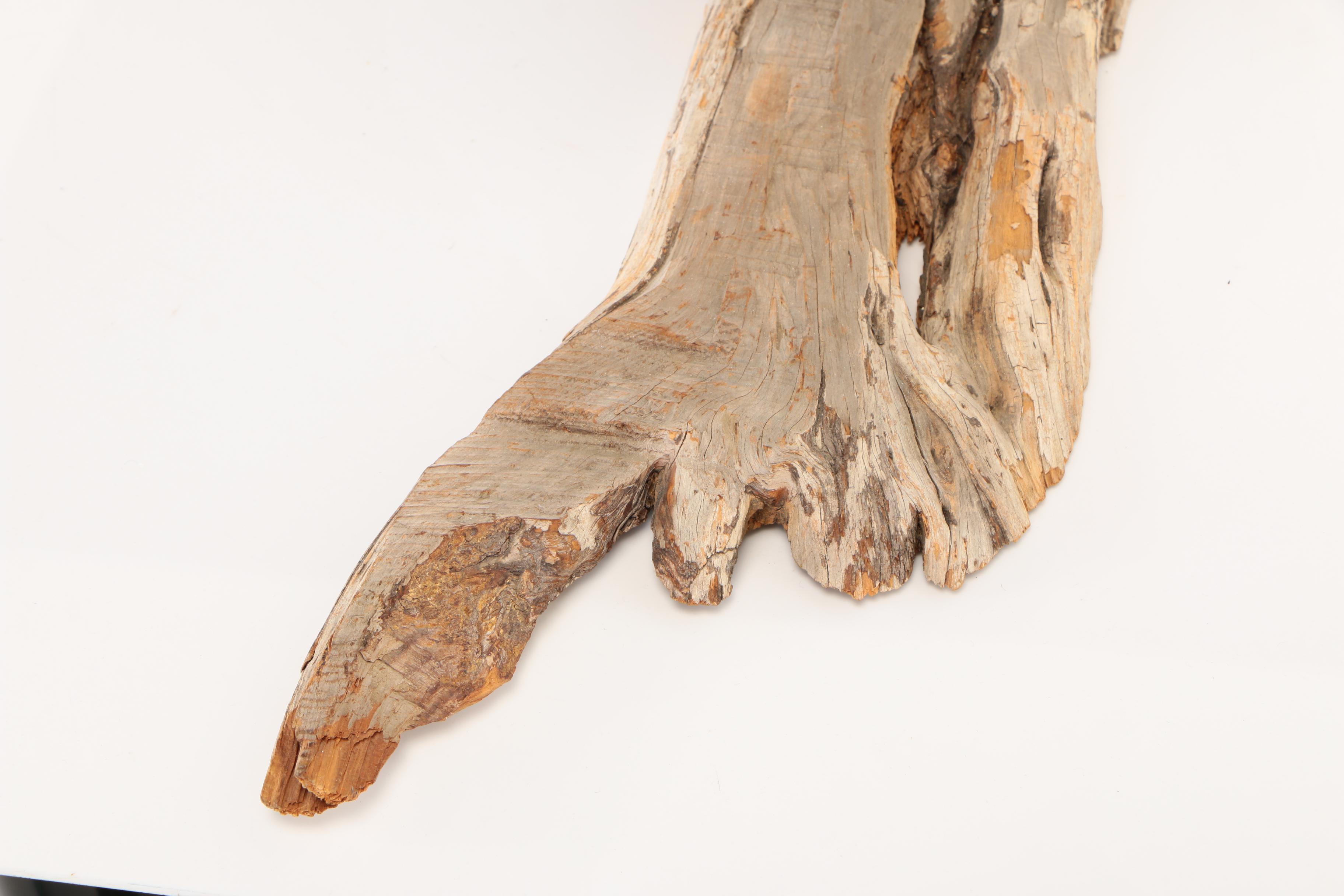 Red Fox Full Body Taxidermy Mount