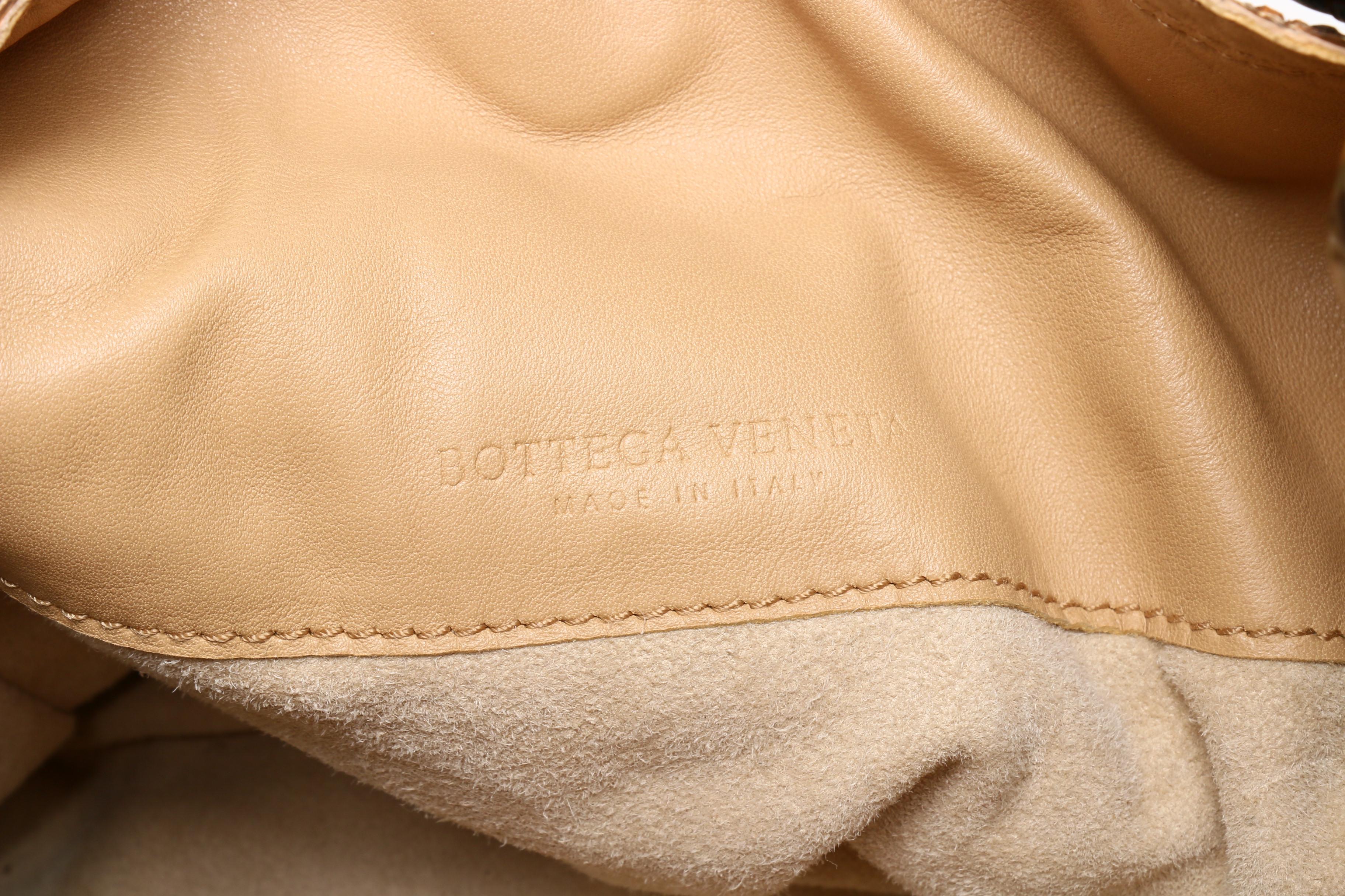 Bottega Veneta Intrecciato Python Skin Bag with Tortoiseshell Style Chain Strap