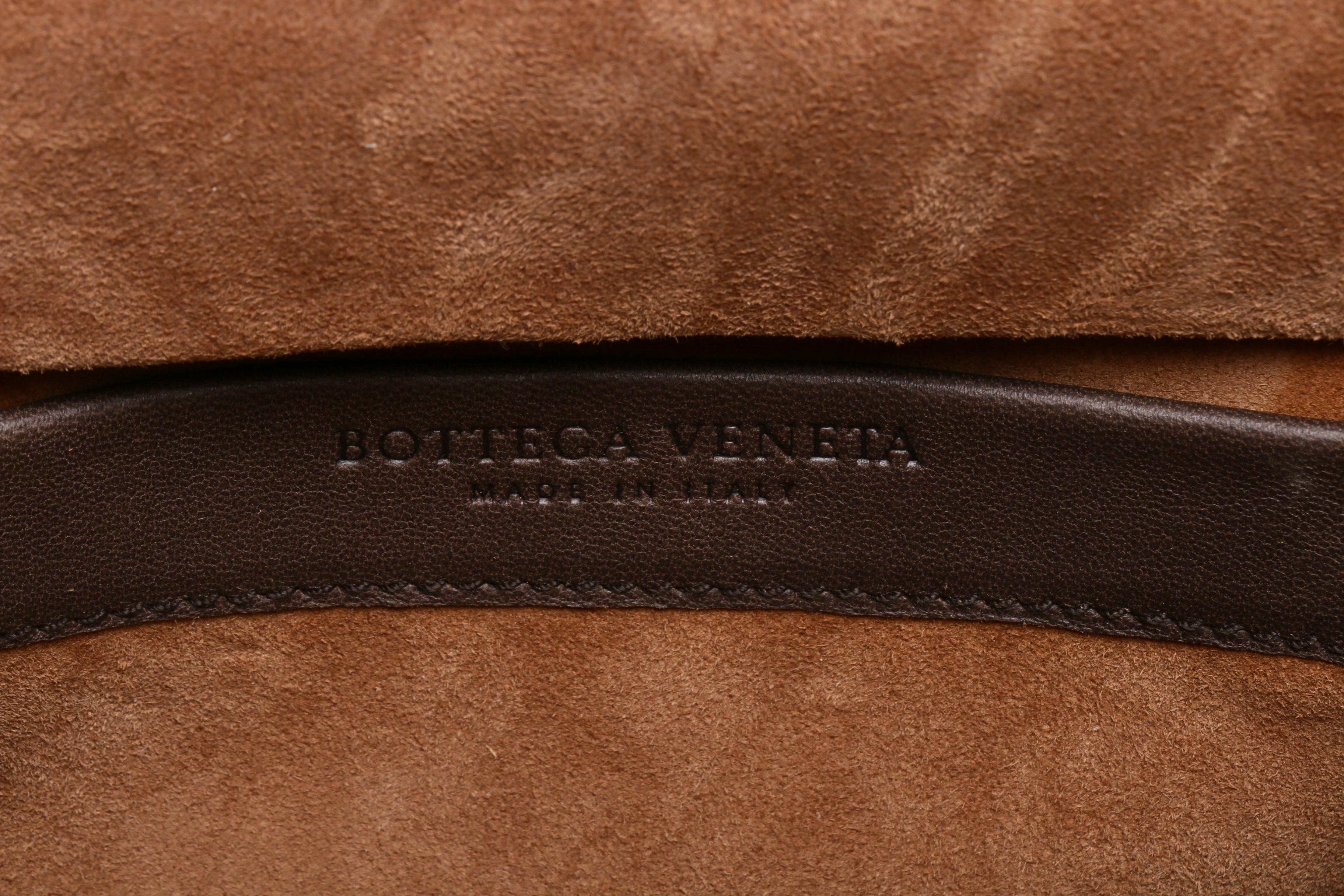 Bottega Veneta Dark Brown Python Skin Frame Bag