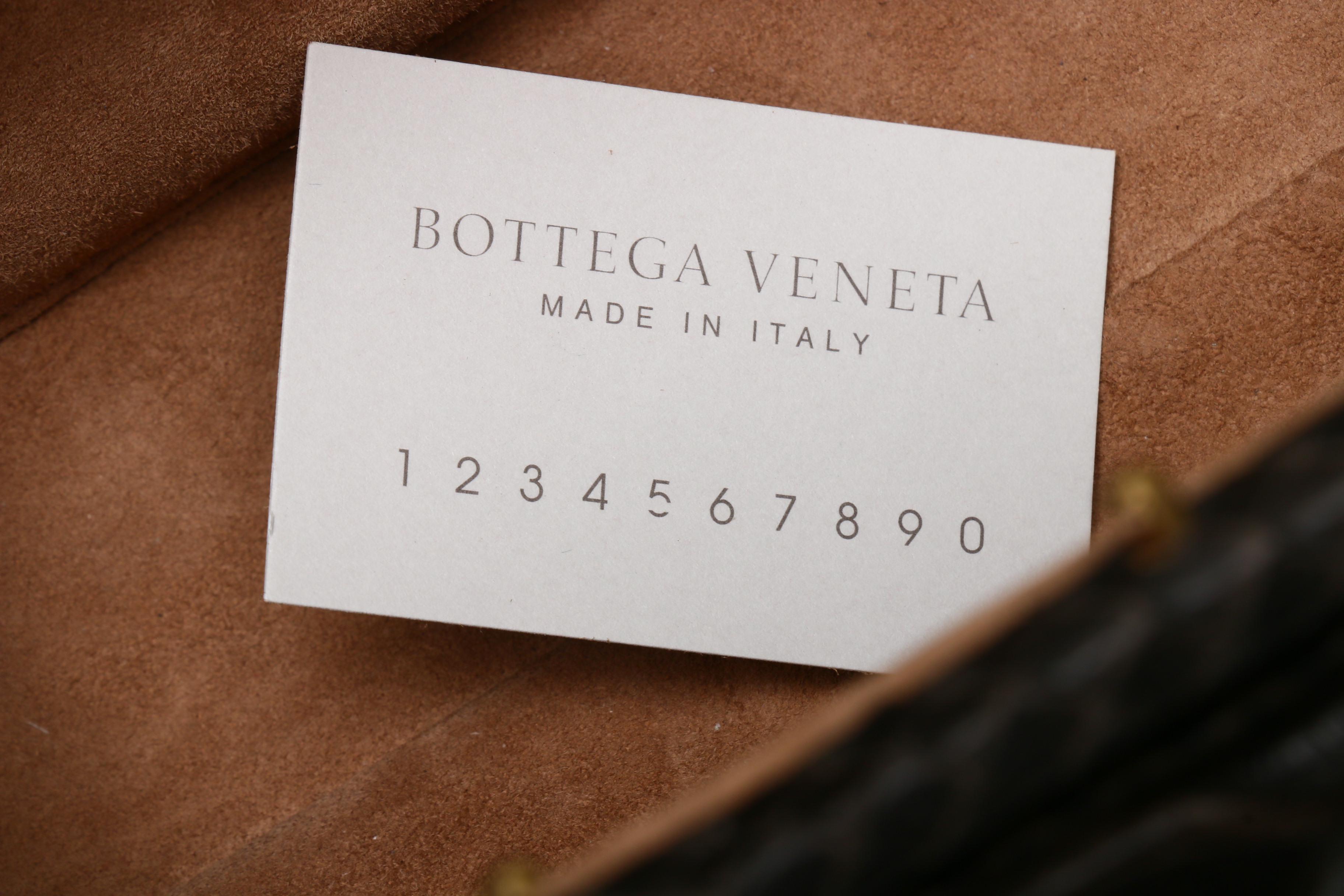 Bottega Veneta Dark Brown Python Skin Frame Bag