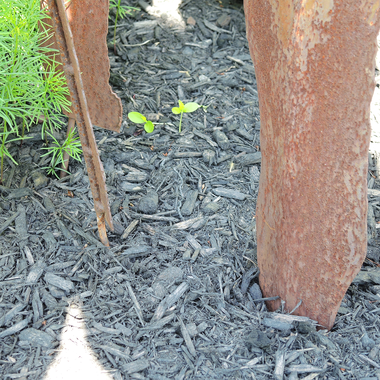 Modern Stylized Leaves Garden Sculptures