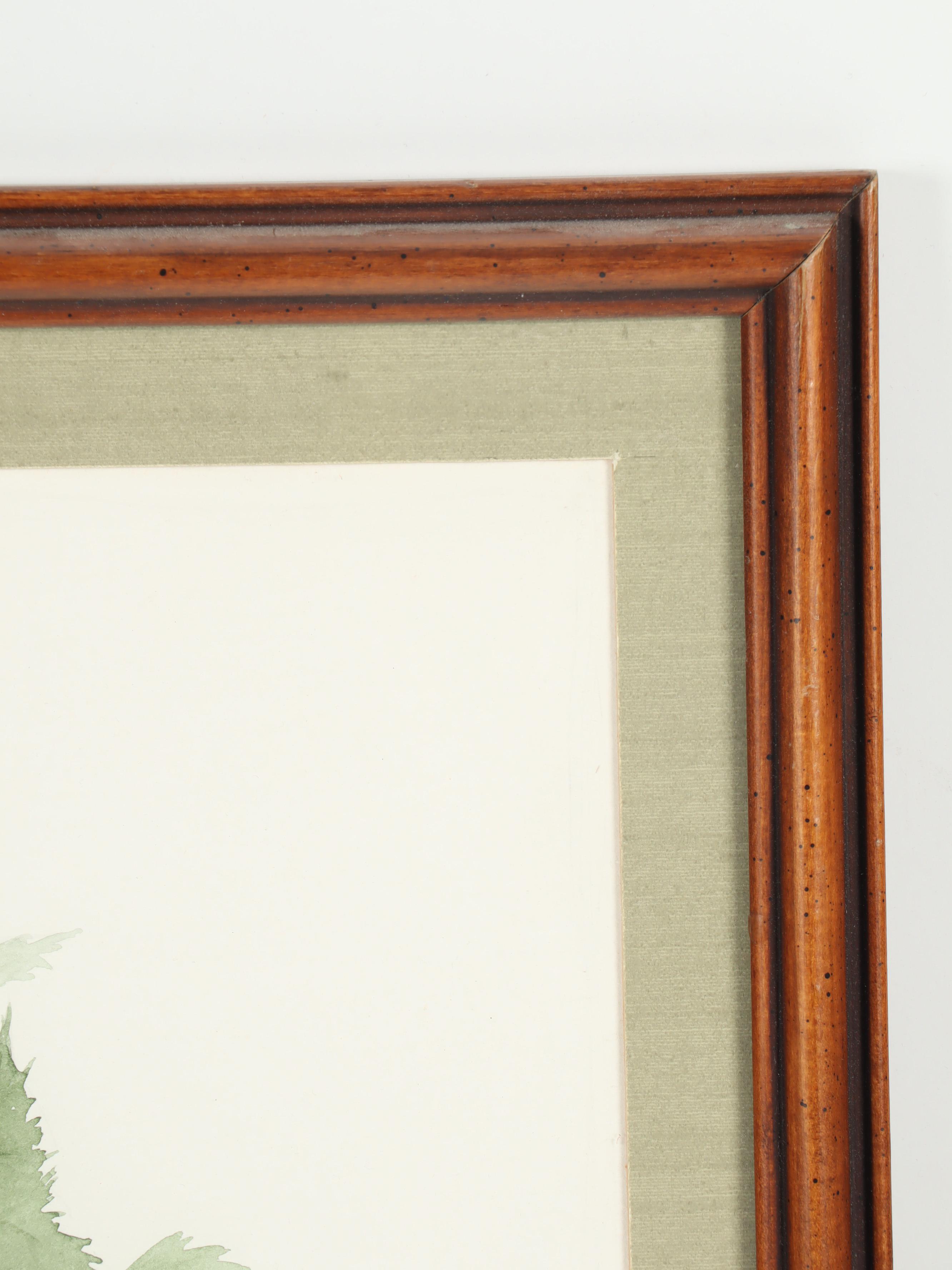 Sylvia Westgard Bird Watercolor Paintings