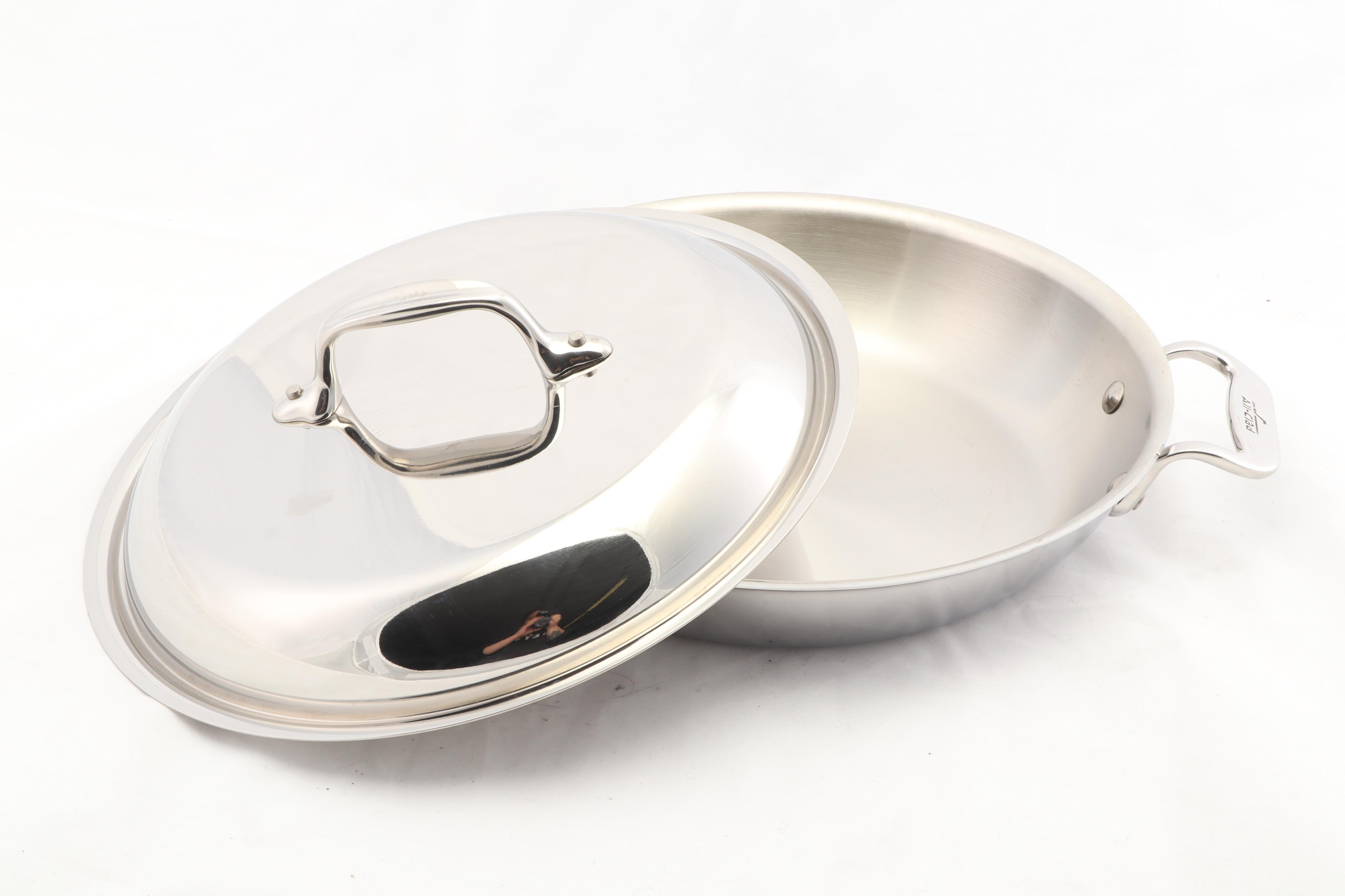 All-Clad Stainless Aluminum 10" Fry Pan and 10" Petite Braiser