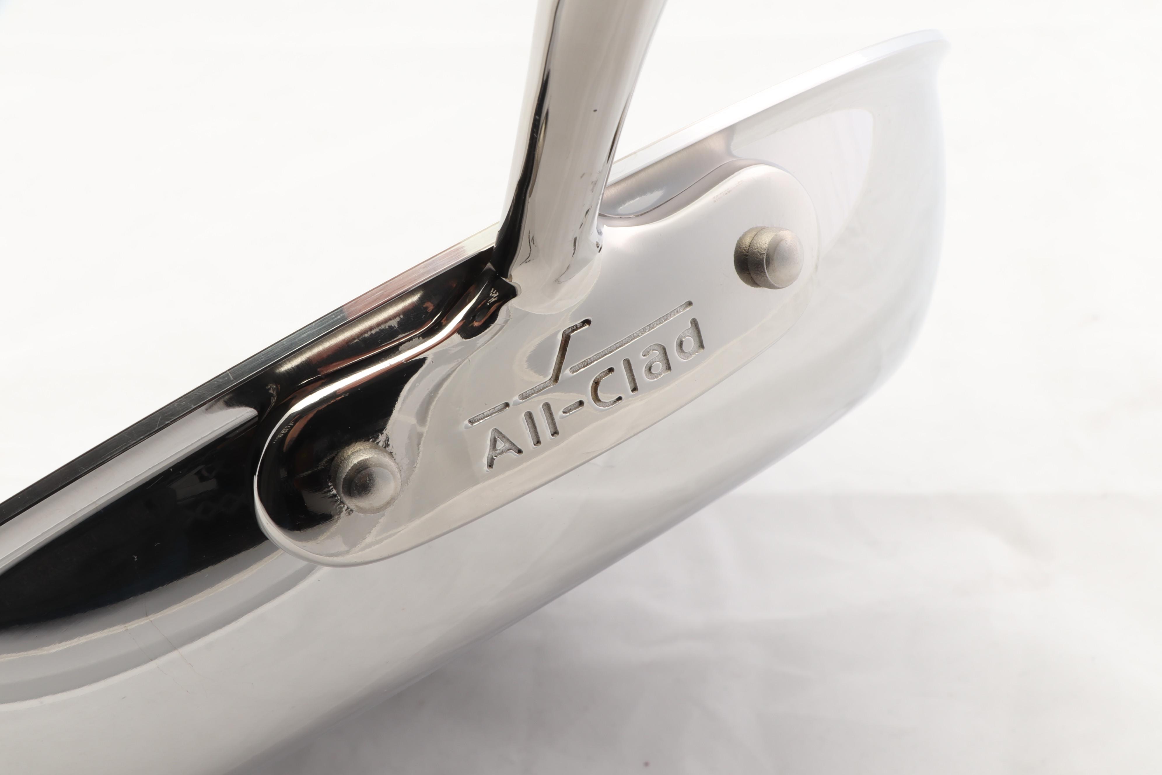 All-Clad Stainless Aluminum 10" Fry Pan and 10" Petite Braiser