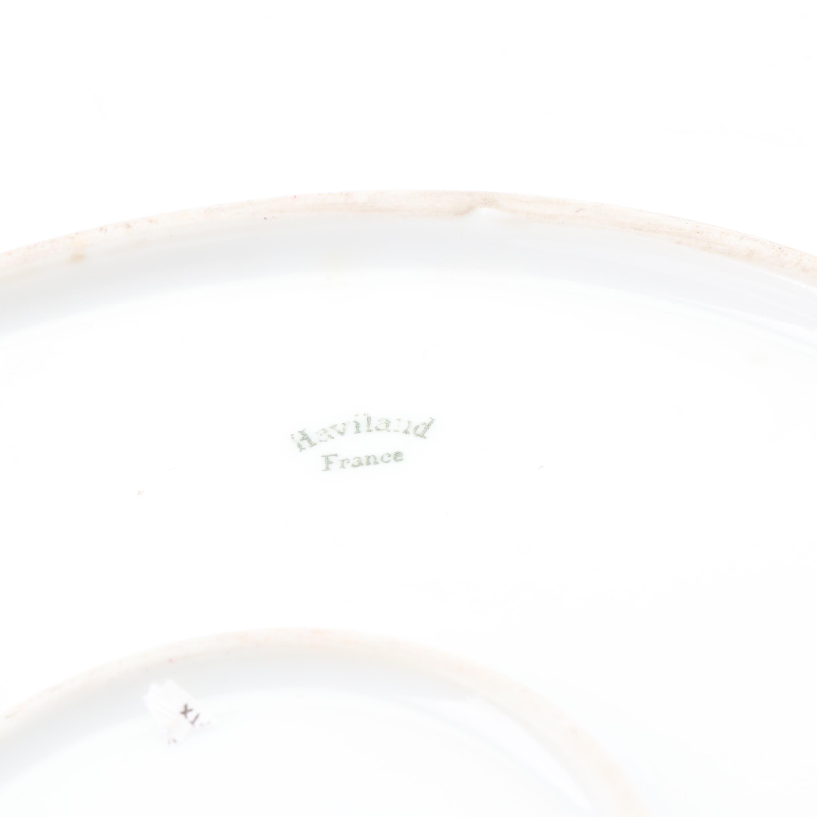 Hand-Painted Haviland Limoges Porcelain Platter