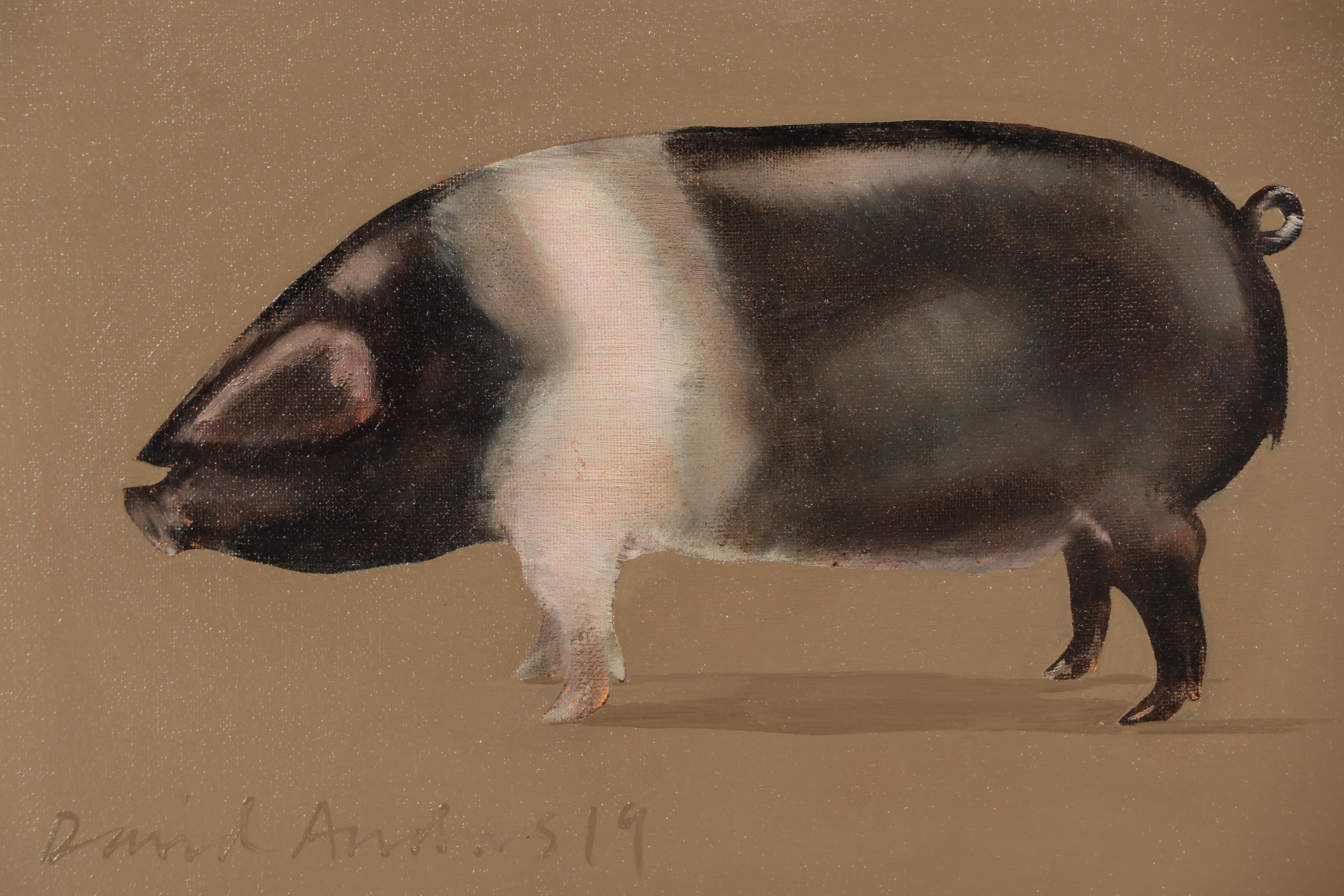 David Andrews Oil Painting Pig Portrait