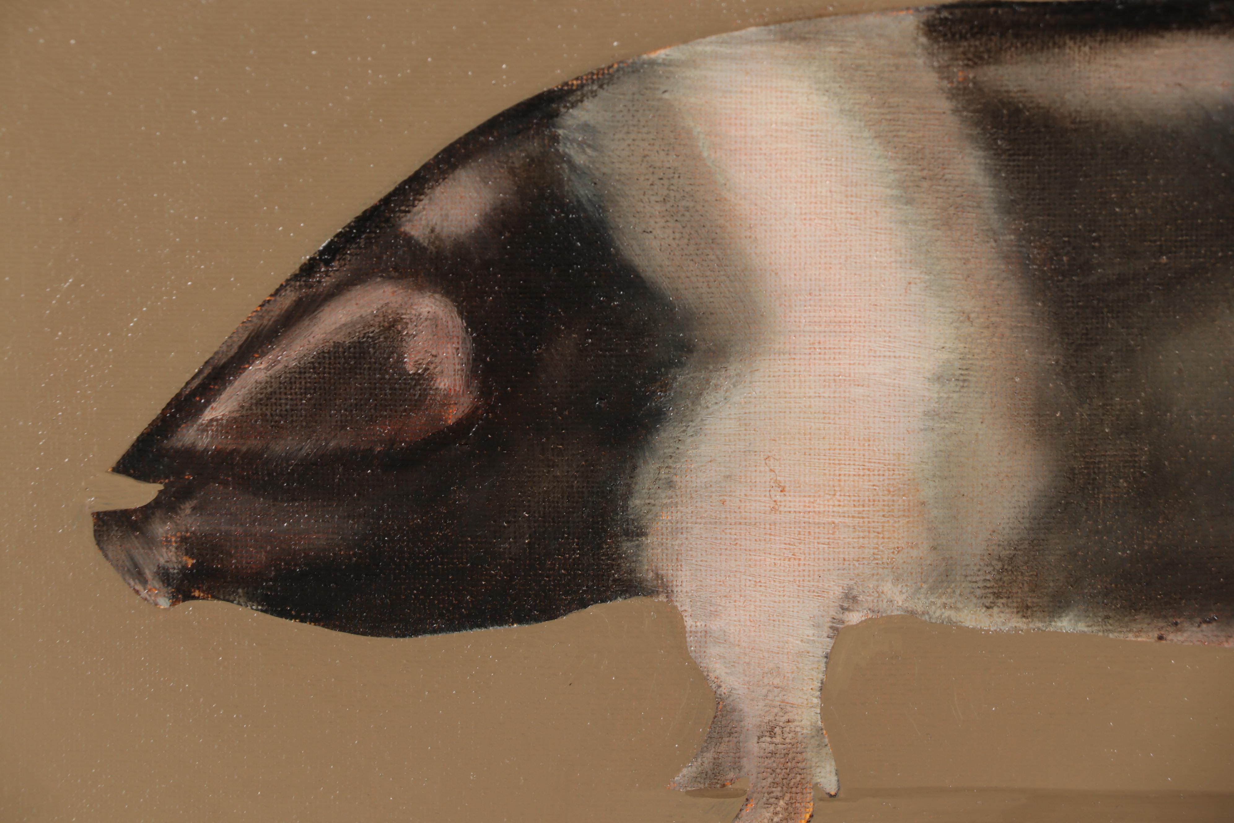 David Andrews Oil Painting Pig Portrait