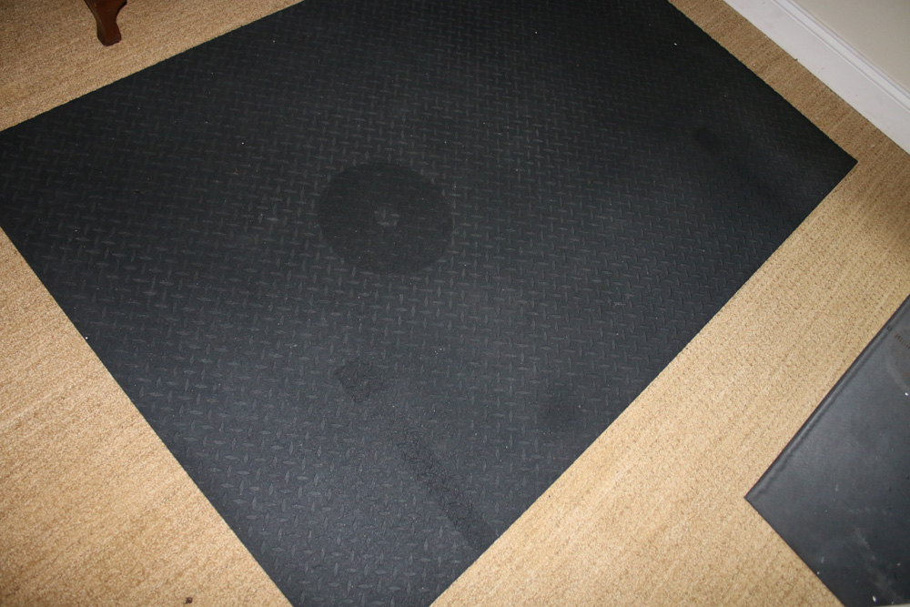 Schwinn Pro IC Spin Bike and Exercise Mats
