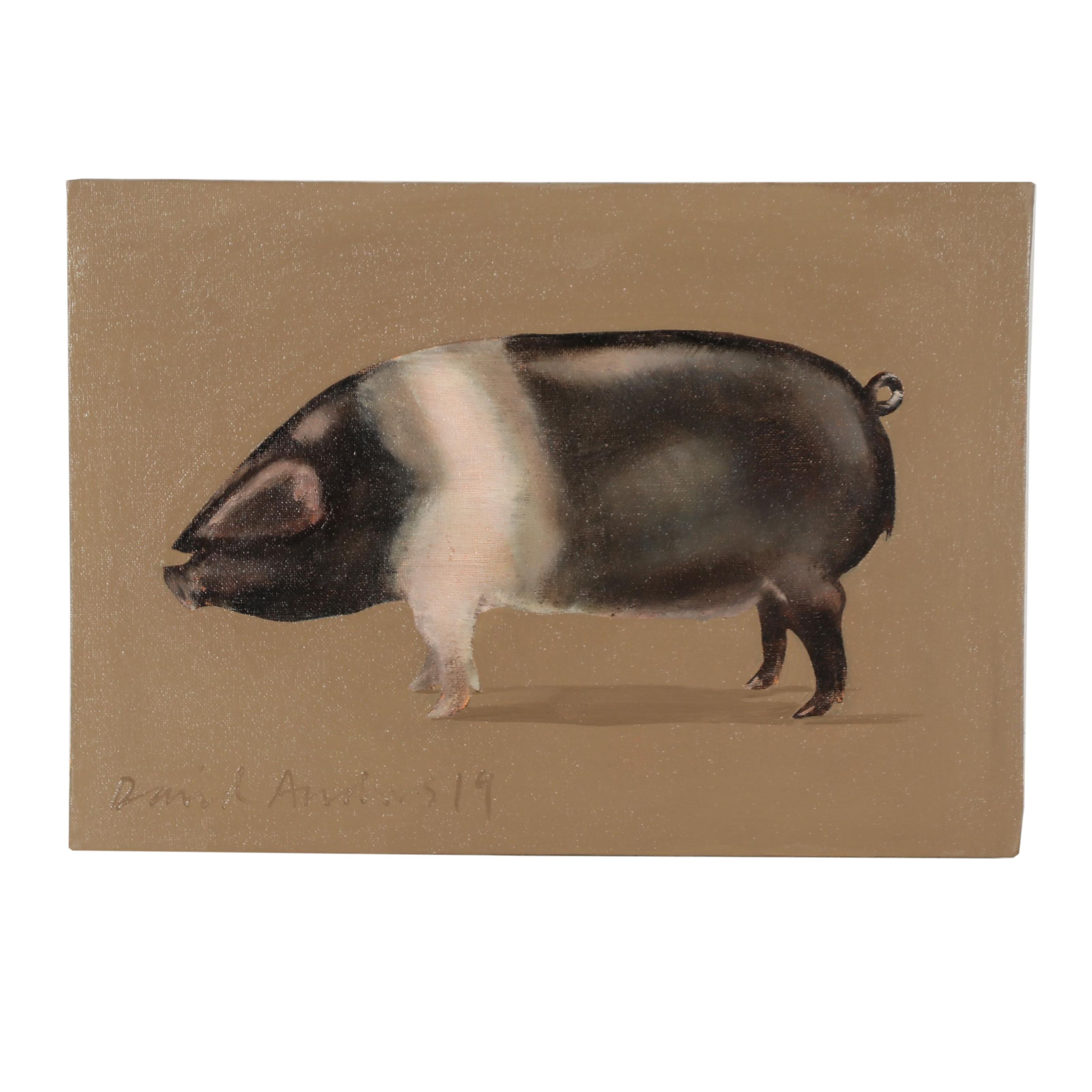 David Andrews Oil Painting Pig Portrait