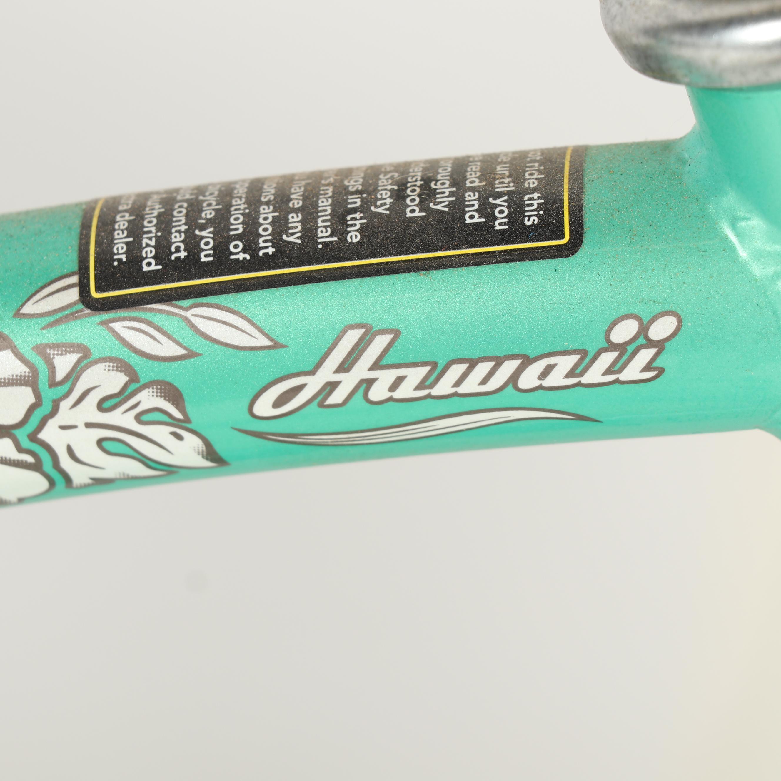 Electra Bicycle Co. "Hawaii 3i" Bicycle in Mint Green, Circa 2011