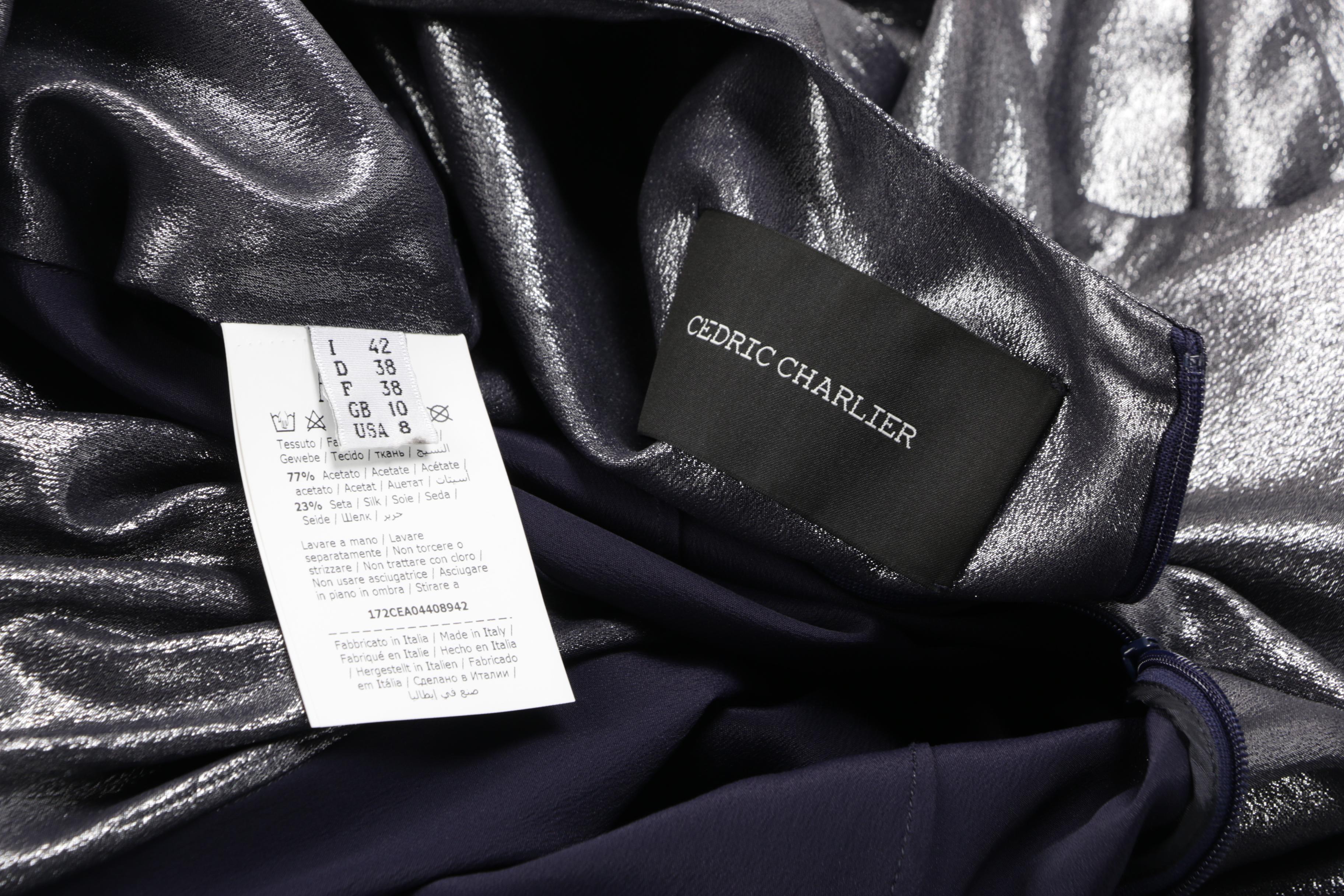 Cédric Charlier Lamé Gown Worn at 23rd Annual Critics' Choice Awards, 2018