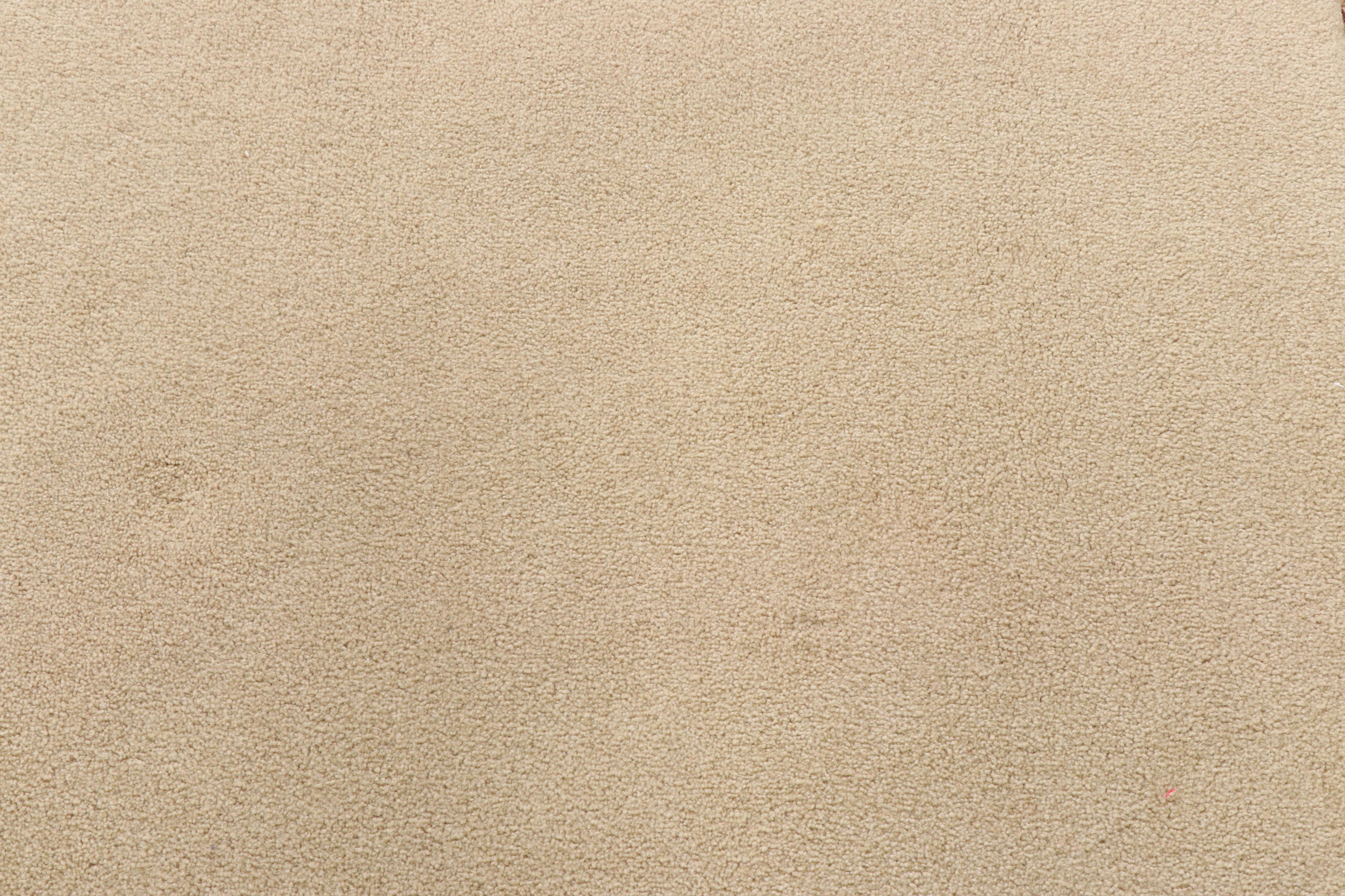 Machine Made Masland Rug Collection Nylon Rug