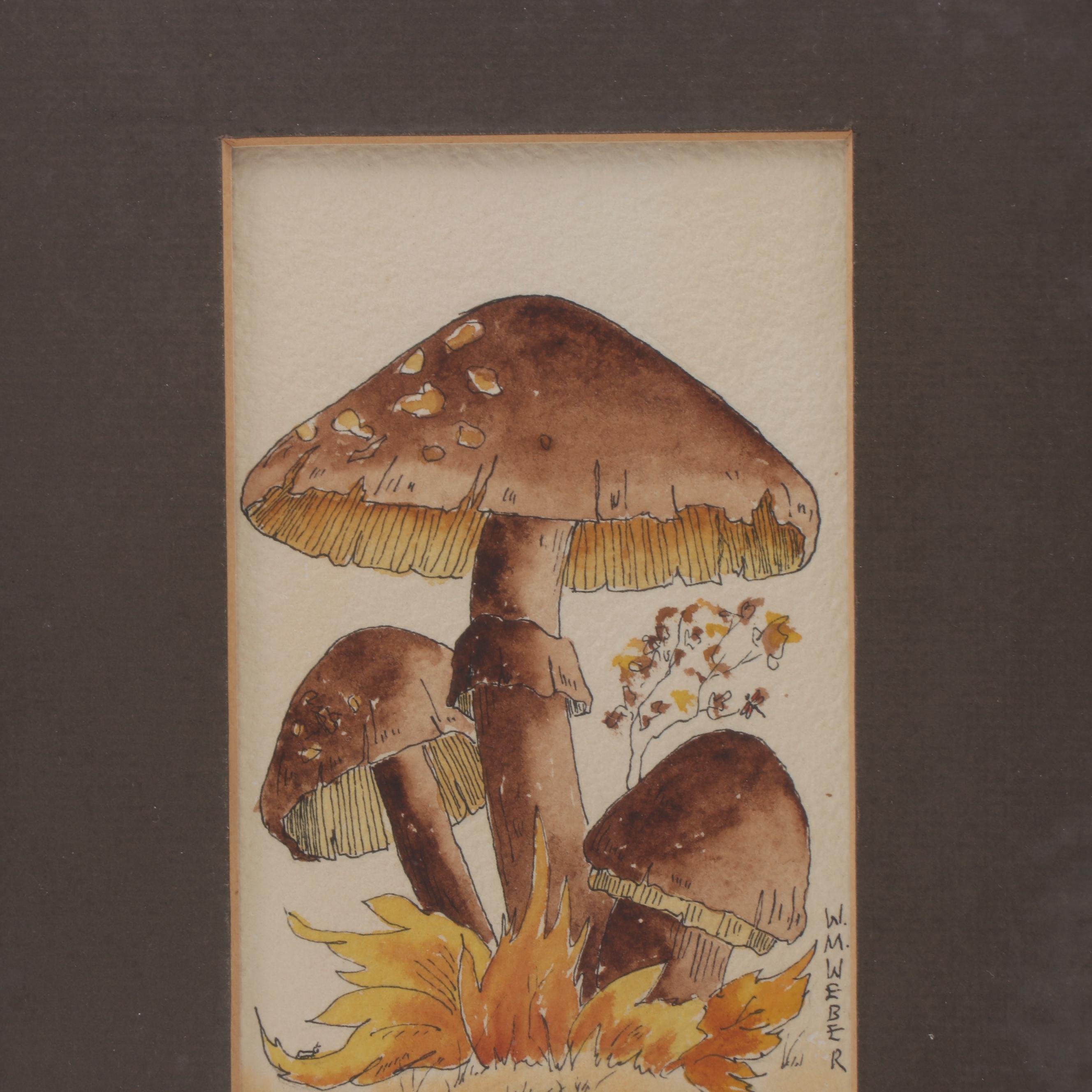W.M. Weber Watercolor Paintings of Flowering Plant and Mushrooms