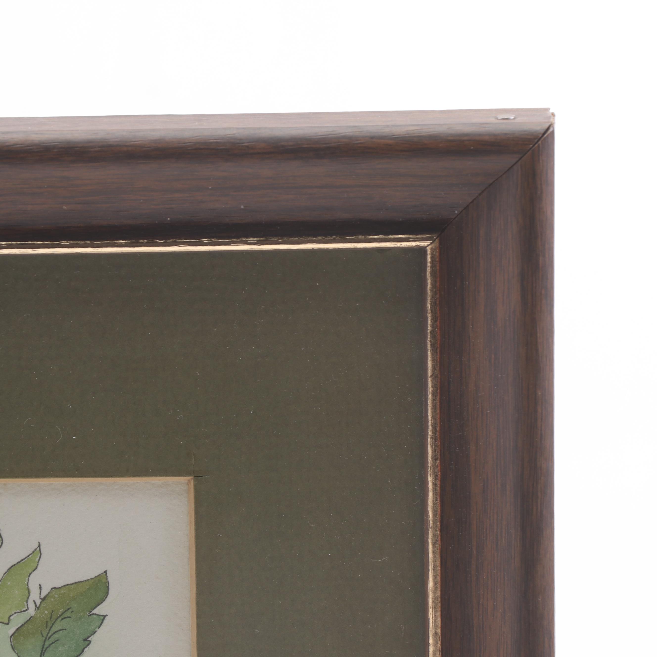 W.M. Weber Watercolor Paintings of Flowering Plant and Mushrooms